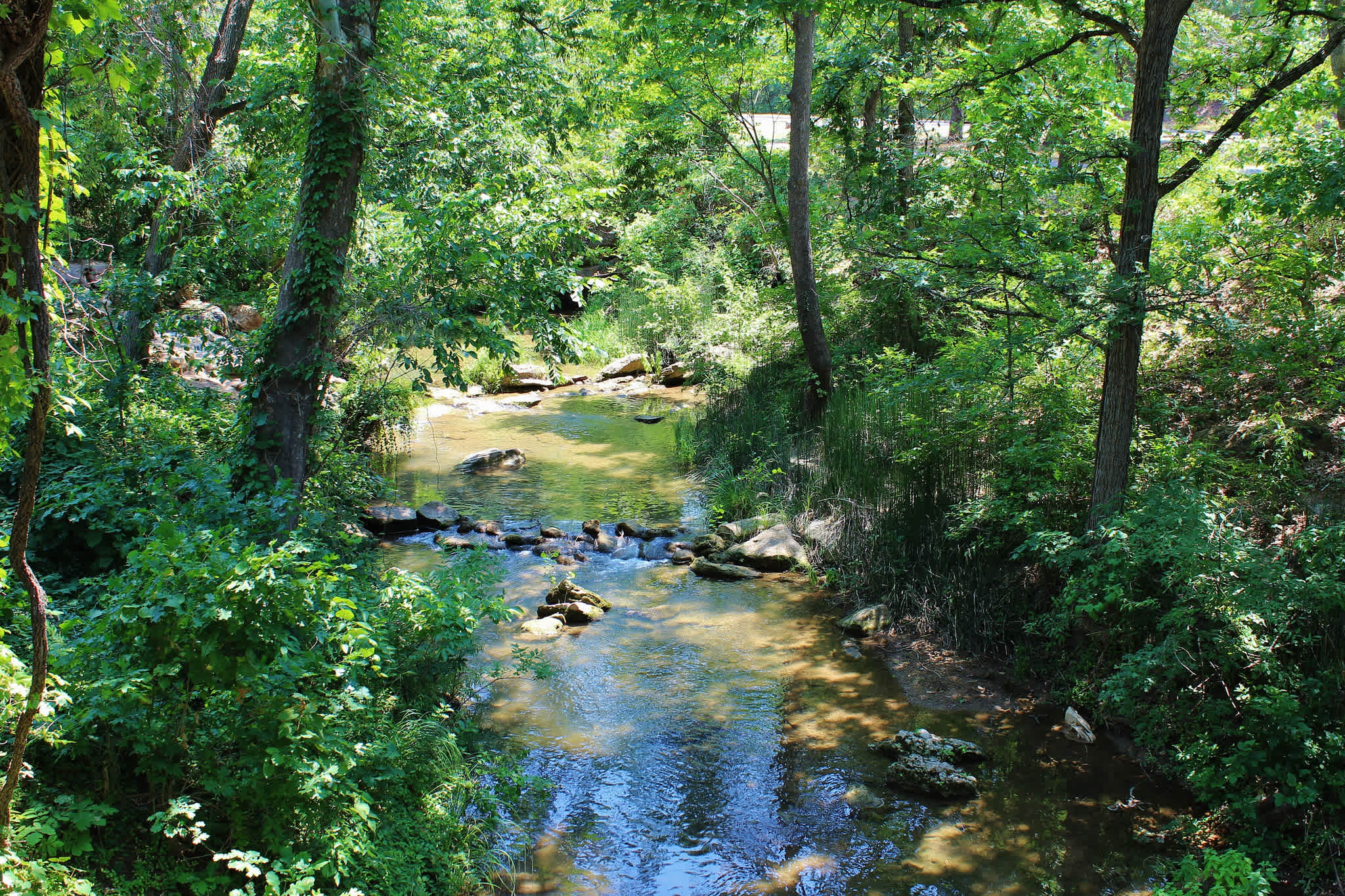 Rock Creek Group Campground