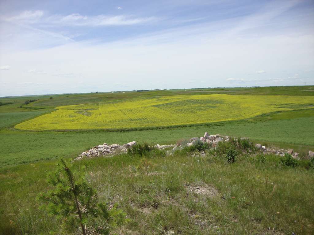 Dakota Prairie Grasslands
