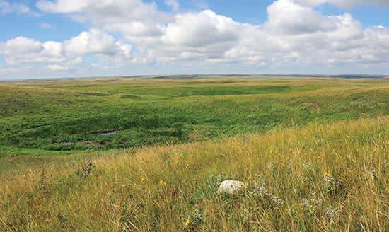 Hankinson Hills Campground