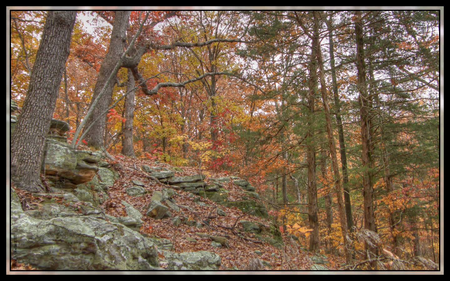 Graham Cave Campground