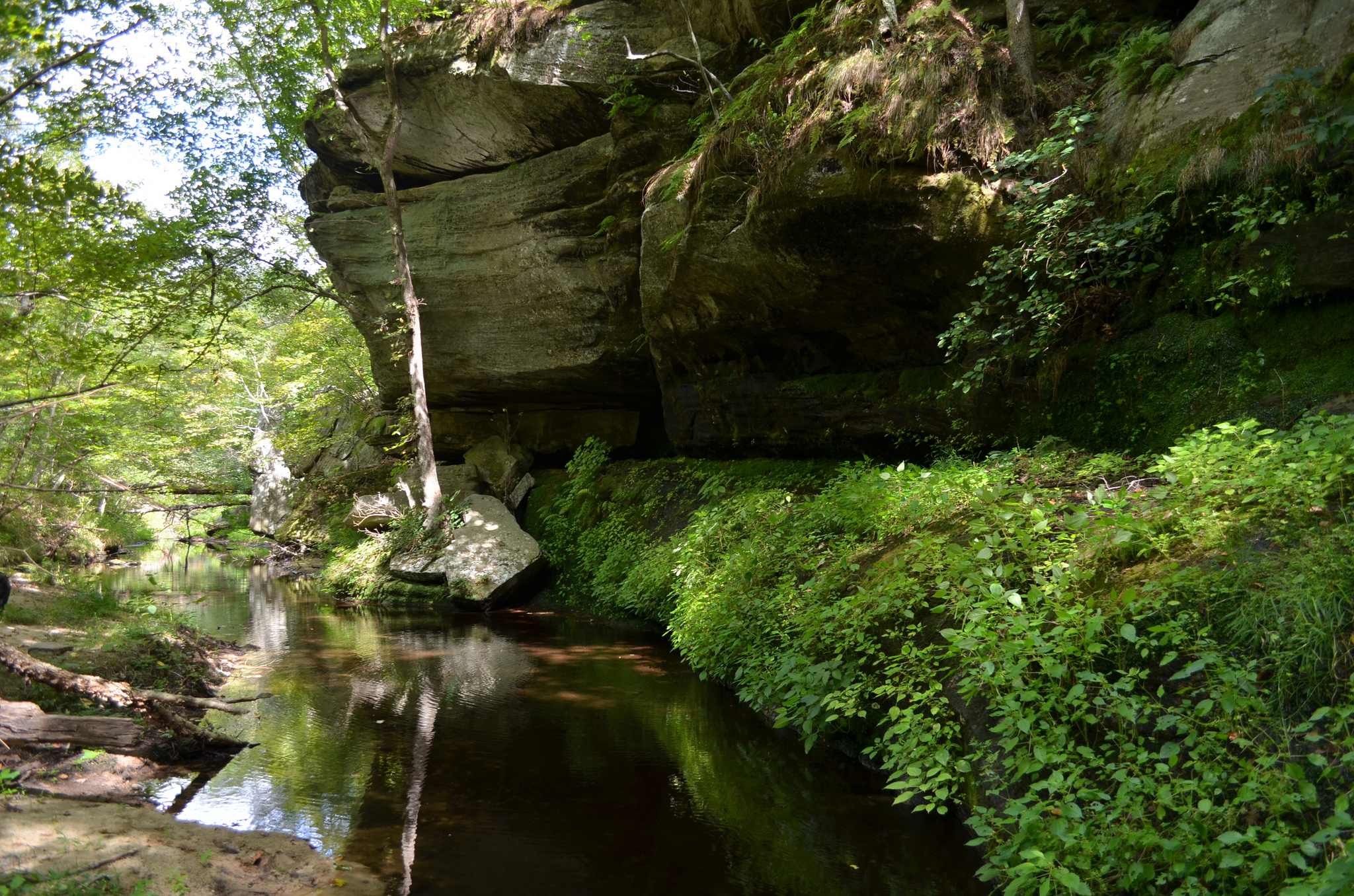 Hawn Campground