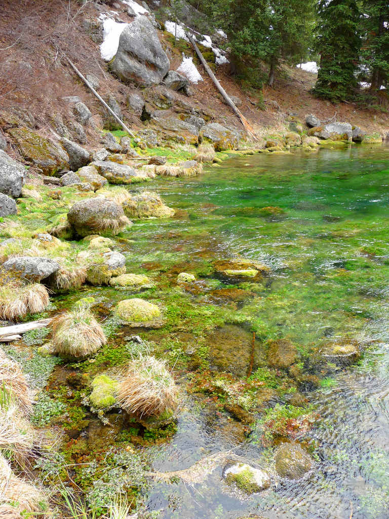 Pine Bar Recreation Site Campground