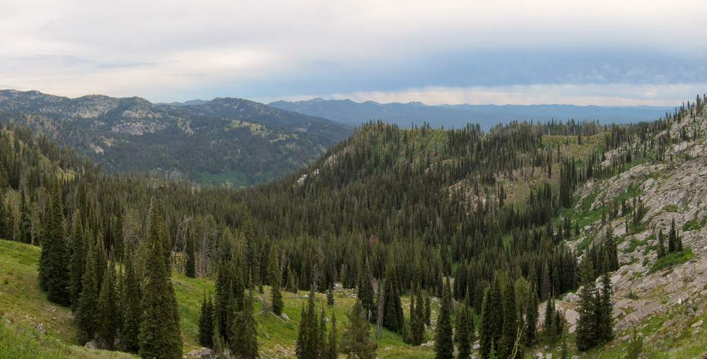 Big Creek Campground