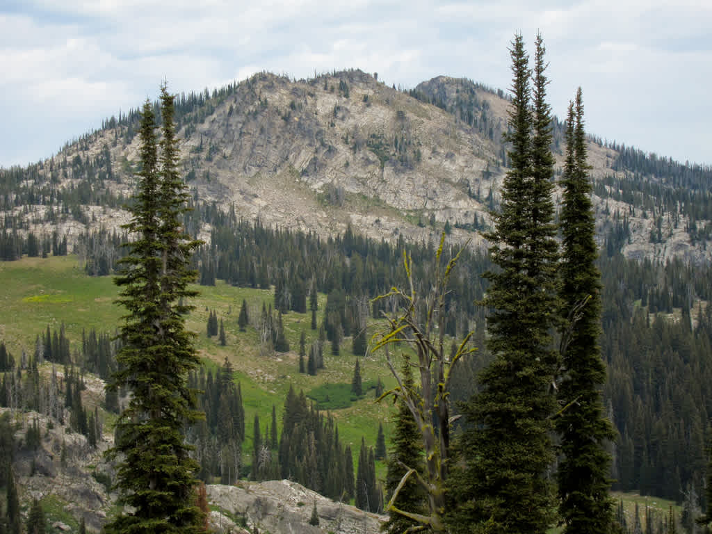 Big Flat Campground