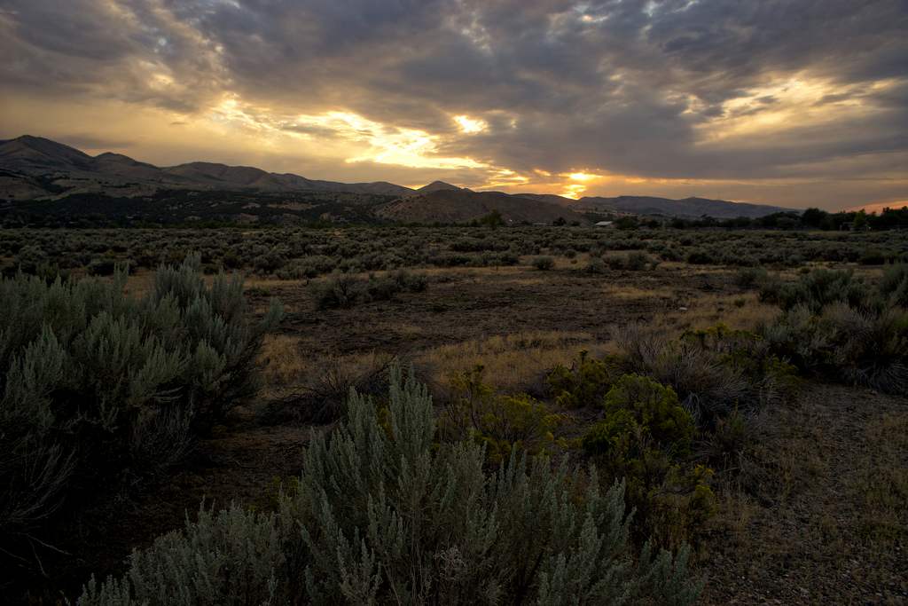 Maple Grove Campground