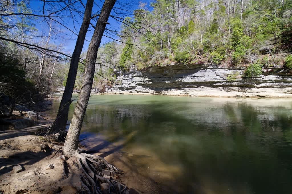 Bankhead National Forest