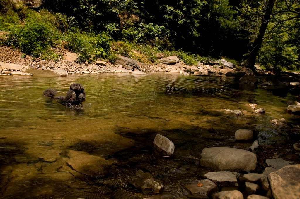 Spruce Creek Campground