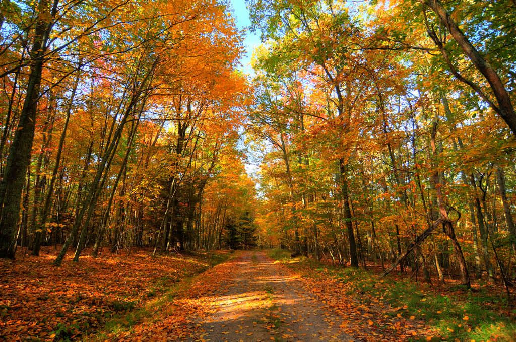 Seneca Campground