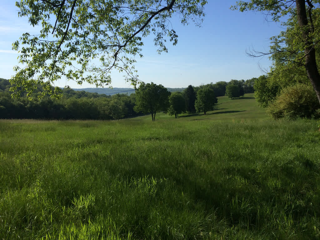 Tomlinson Run Campground