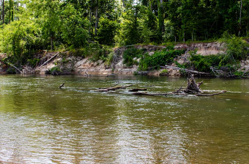 Bogue Chitto Campground