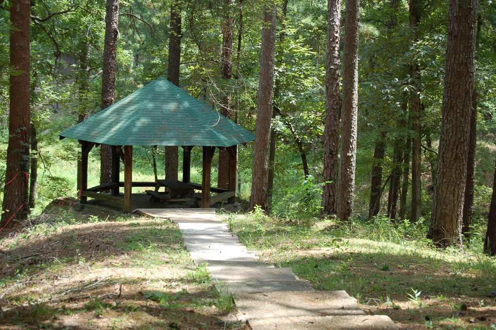 Loran/Claiborne Trailhead Camp