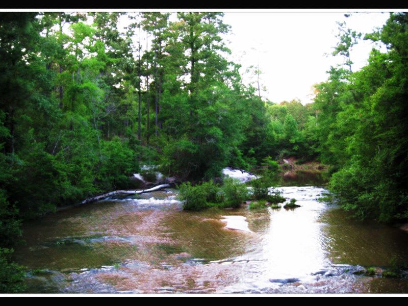 Boy Scout Camp