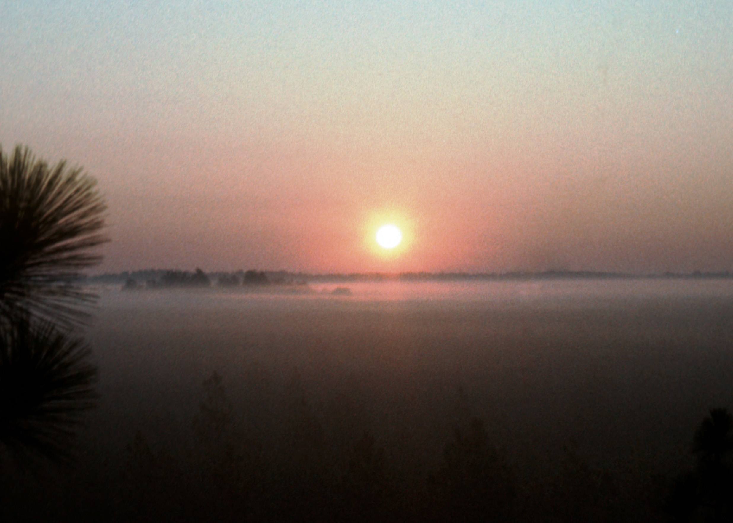 Saddle Bayou Camp
