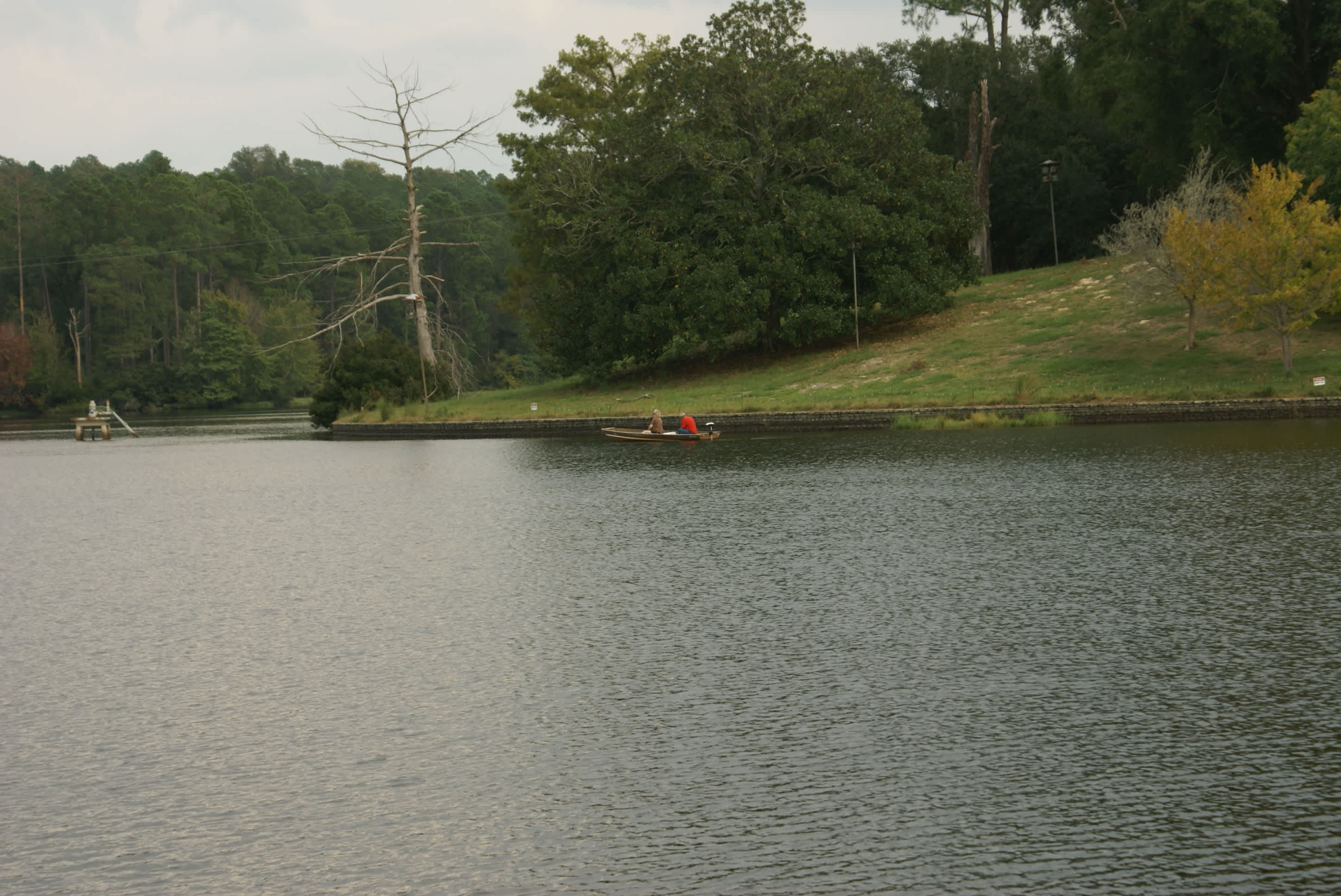Hodges Gardens Campground