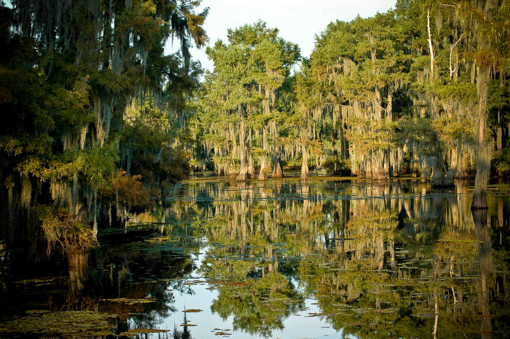 Lake Bistineau Campground