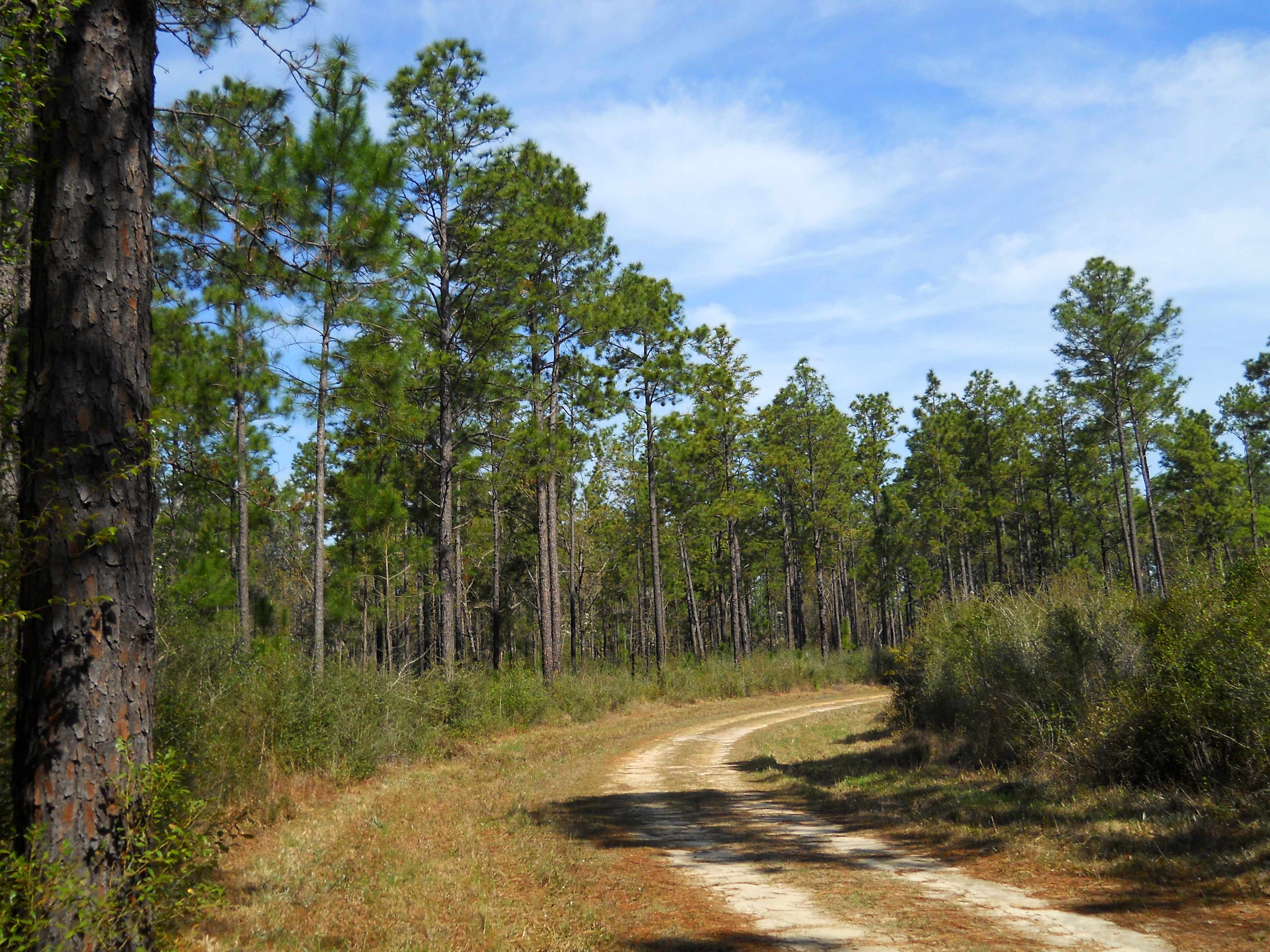 Fairley Bridge Landing Recreation Area