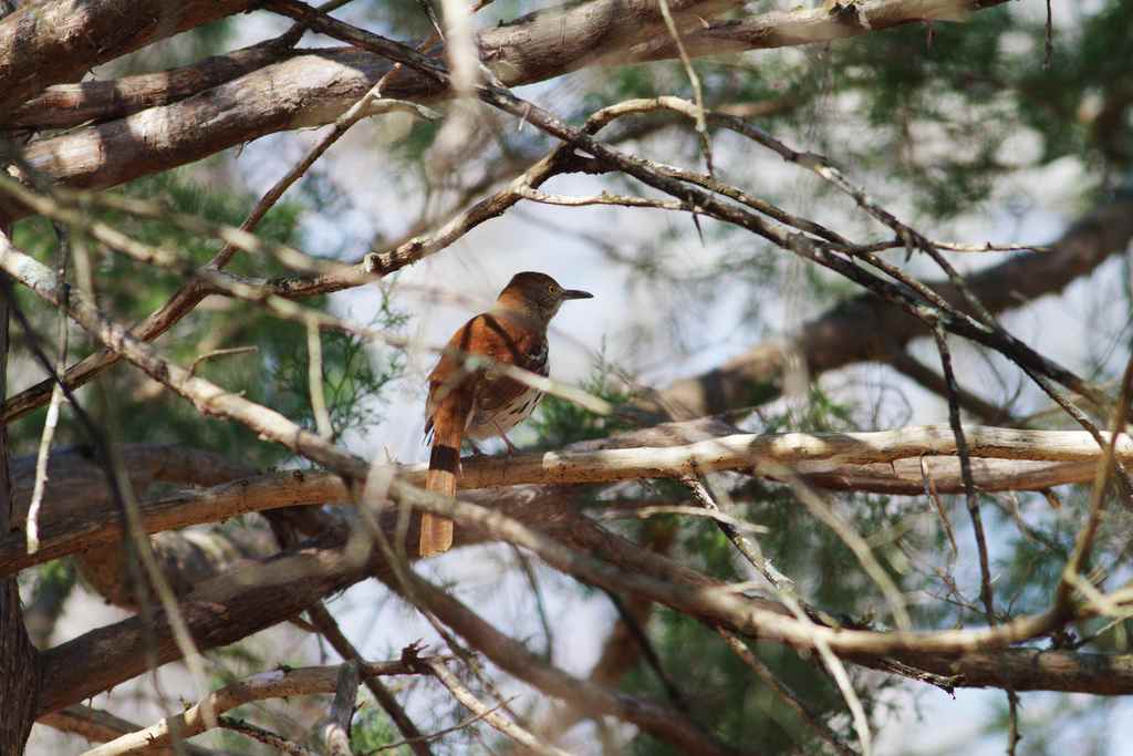 Tombigbee Campground