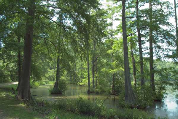 Wall Doxey Campground