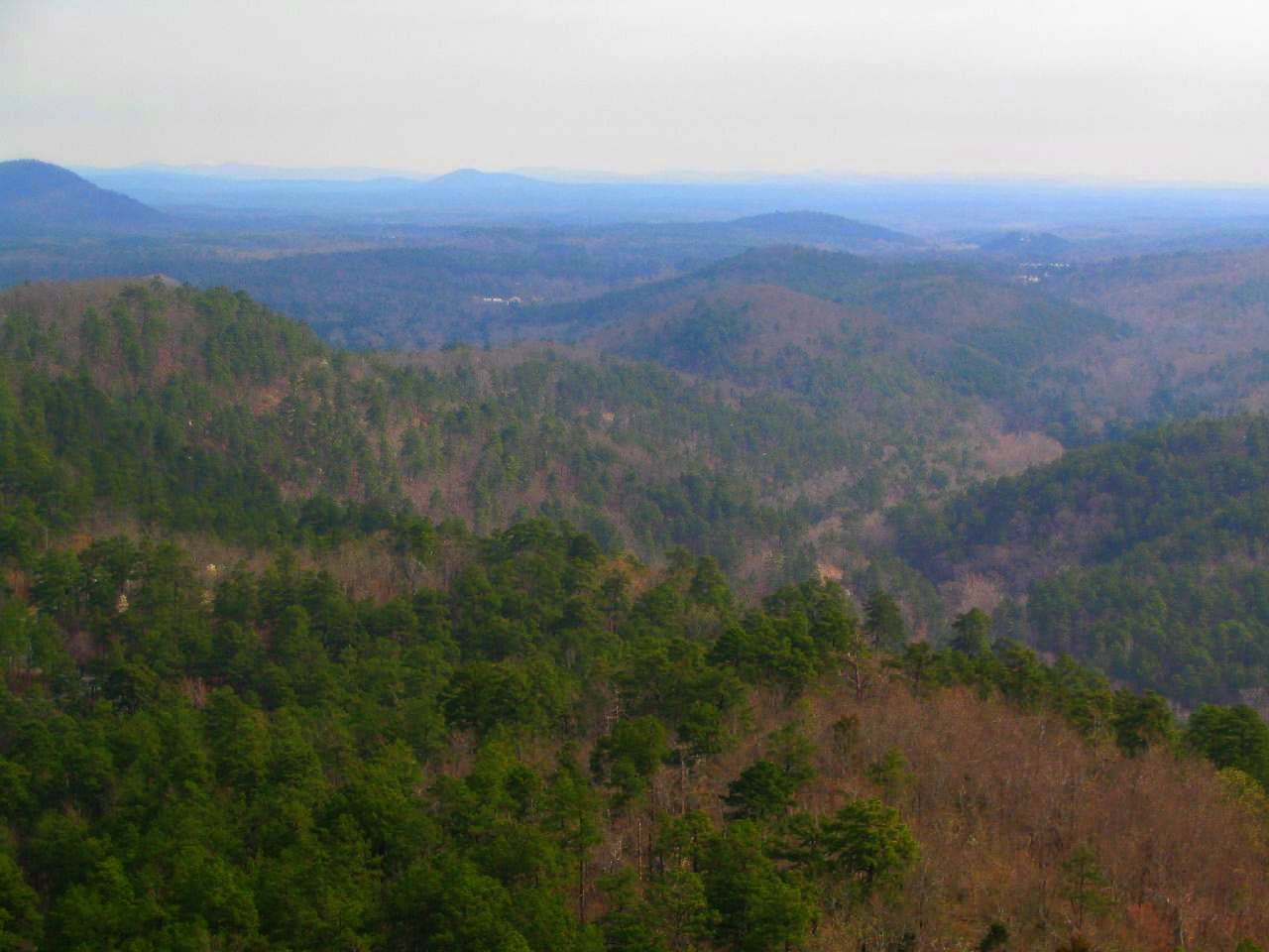Ouachita National Forest