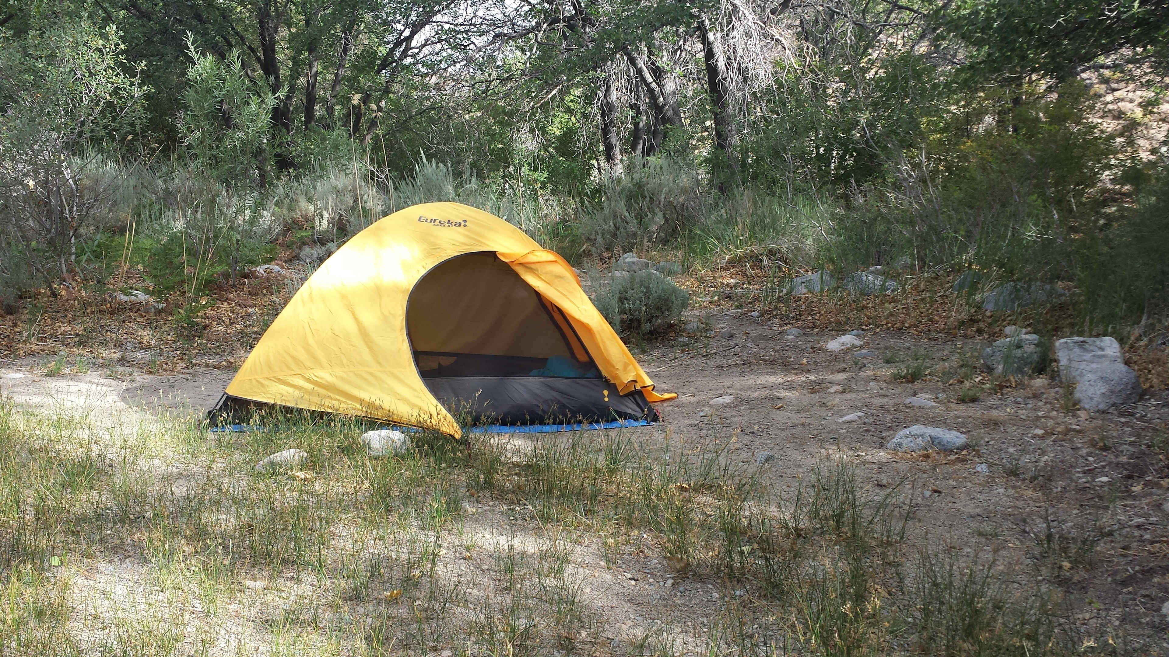 Site 40, which is right by the entrance and near restrooms, but still very quiet. The best part about this site is it's right on the river that runs through the campground, with a private path to the water!