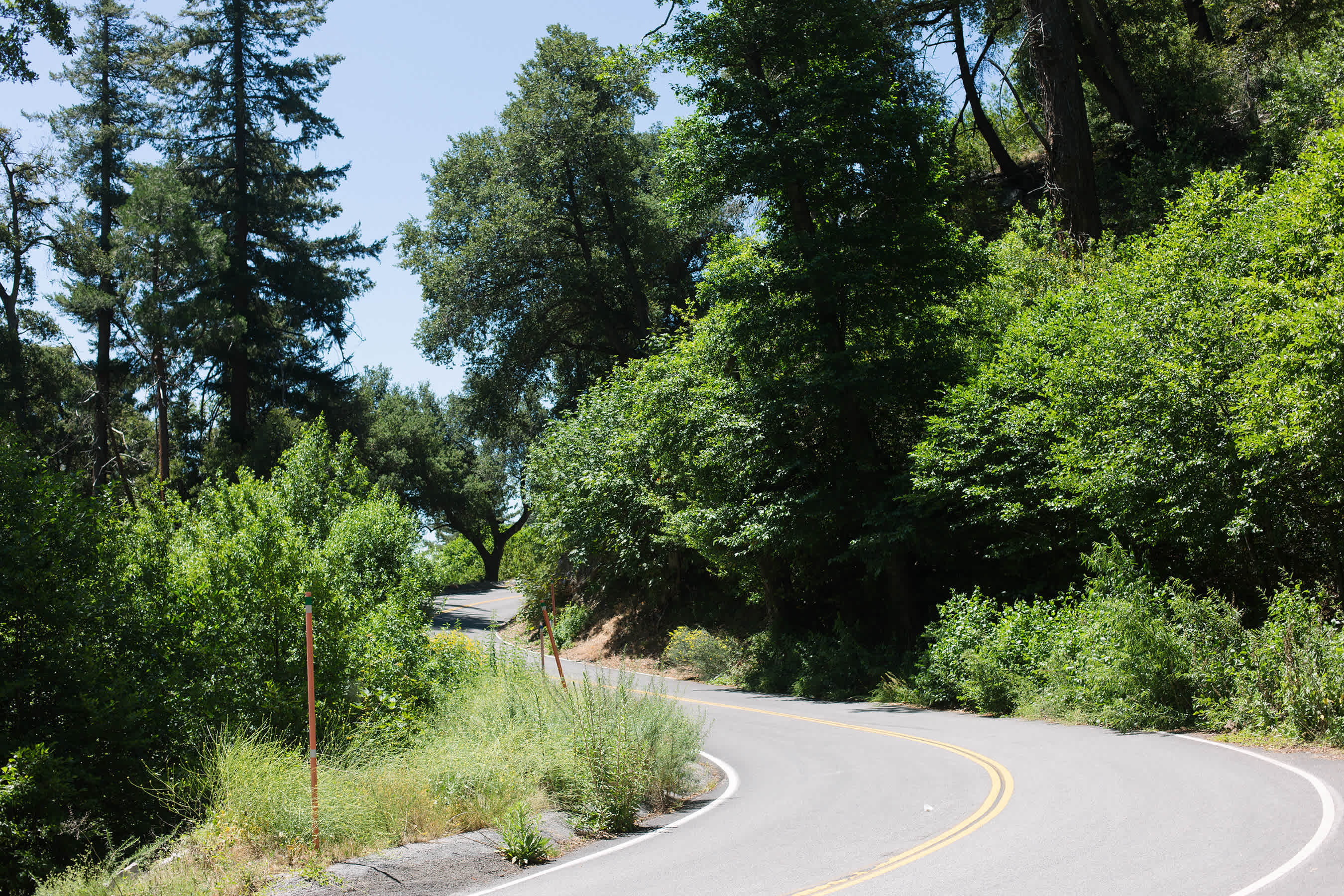 The road to the campground and past it to the general store at the top of the mountain is so pretty.