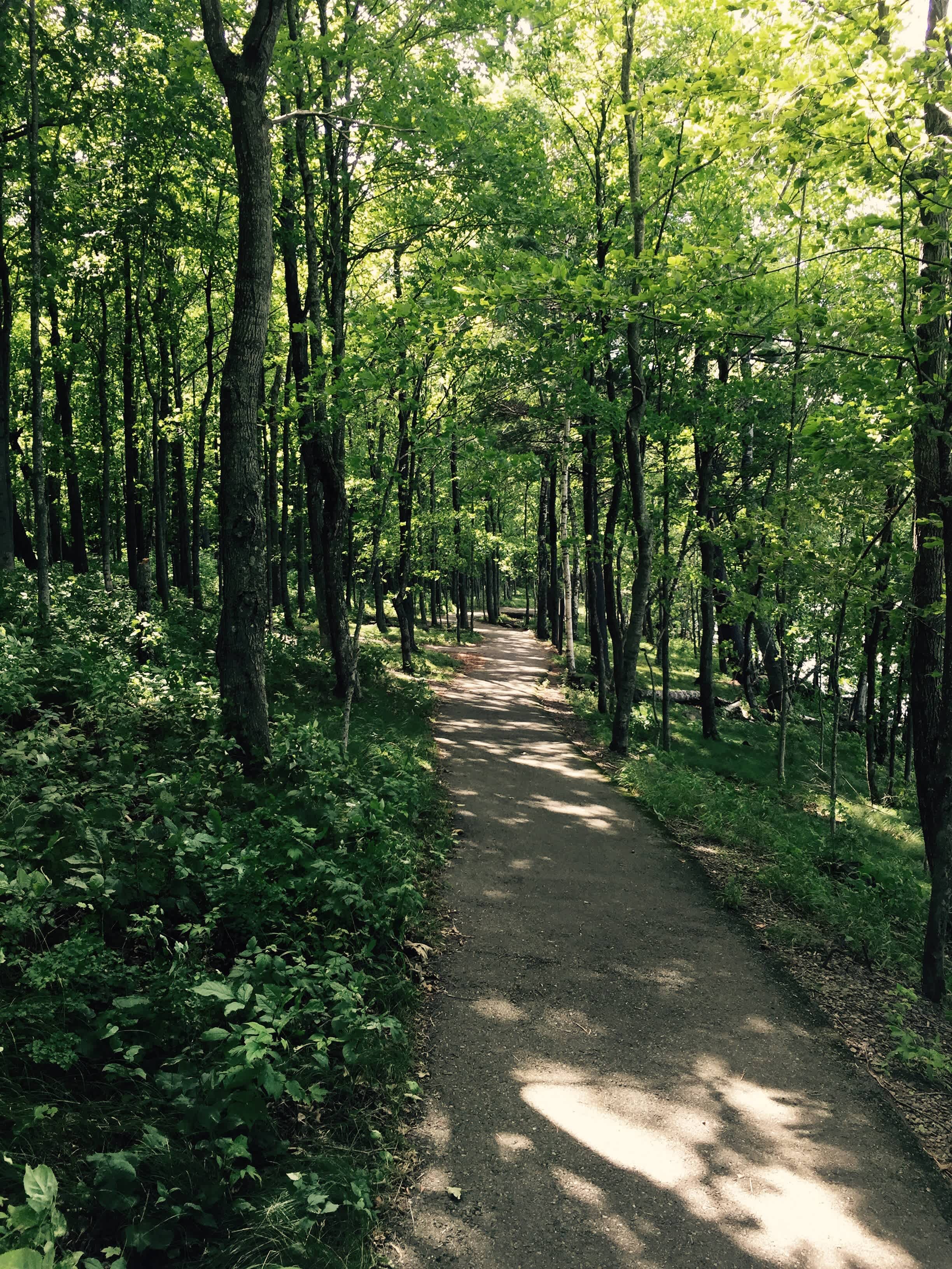 Beautiful trails