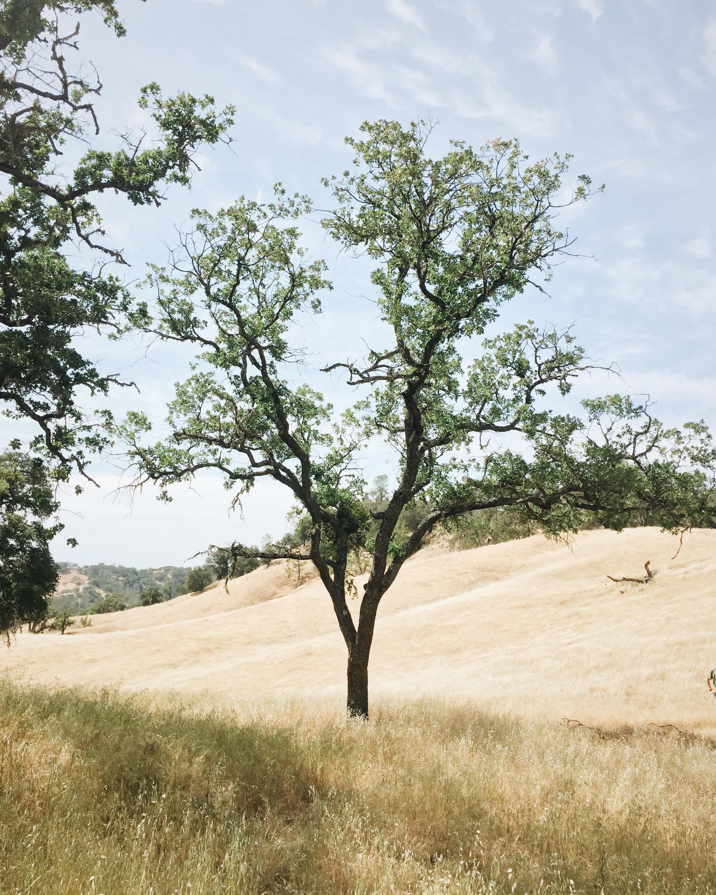 Santa Margarita Lake Recreation Area