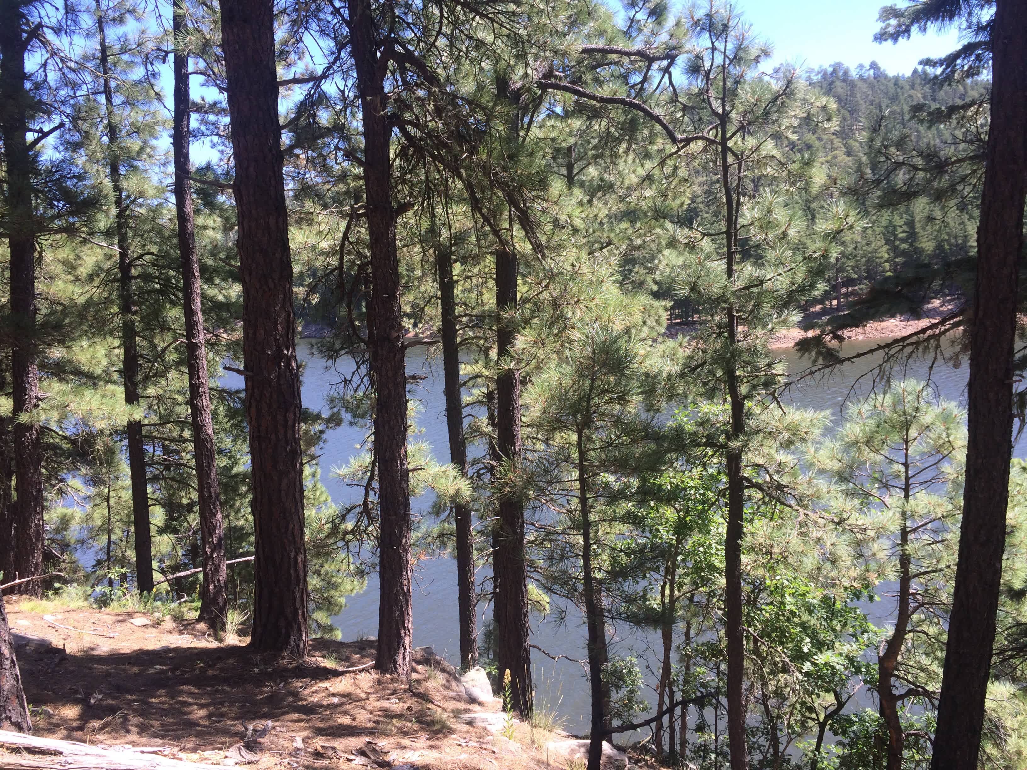 Knoll Lake Campground