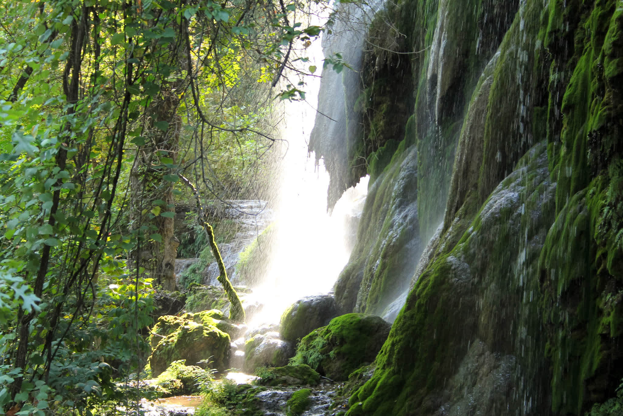 Colorado Bend State Park Campground