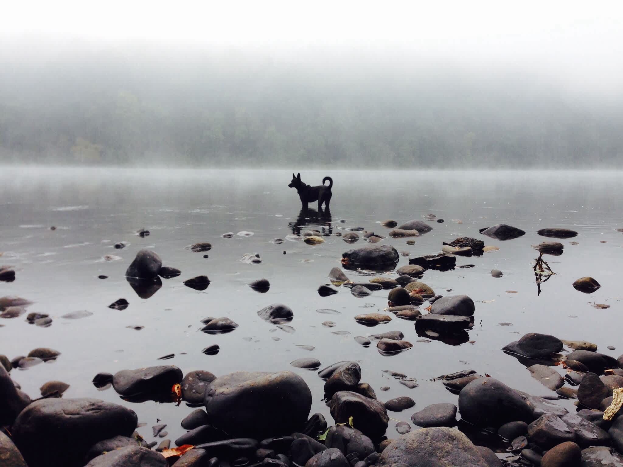Early morning on the river, just steps from the tent