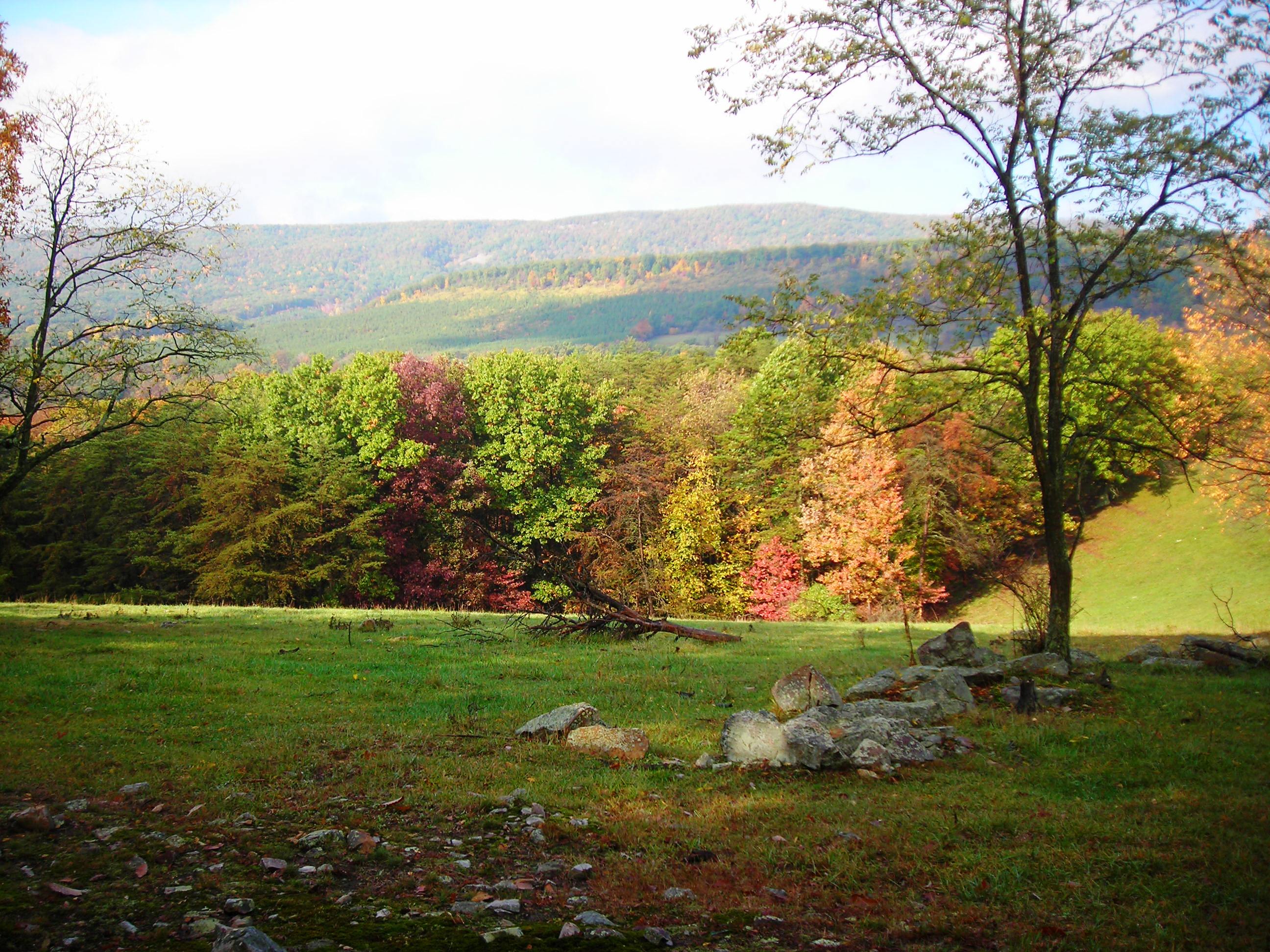 Looking west from High Knob