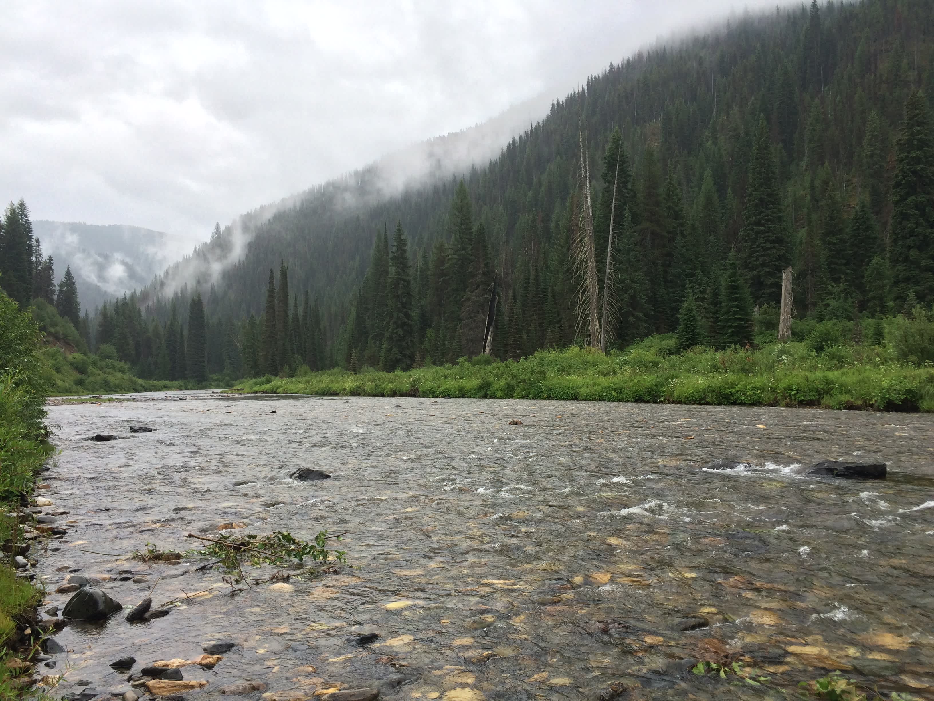 A much needy rainy day on the St. Joe River this summer near Fly Flat Campground after several weeks of devastating fires in the region.  