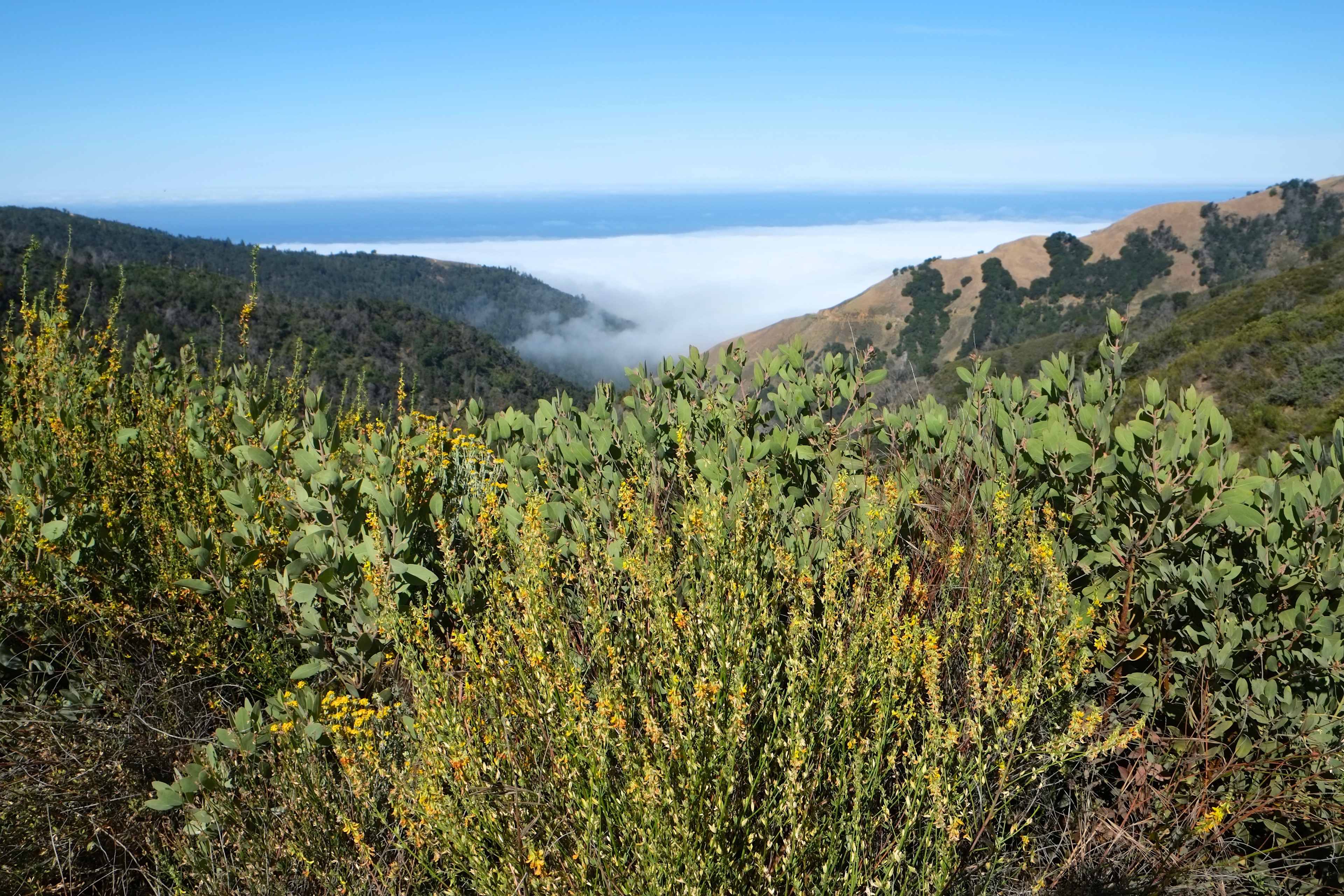 Pretty cool when you wake up and you are above the clouds...