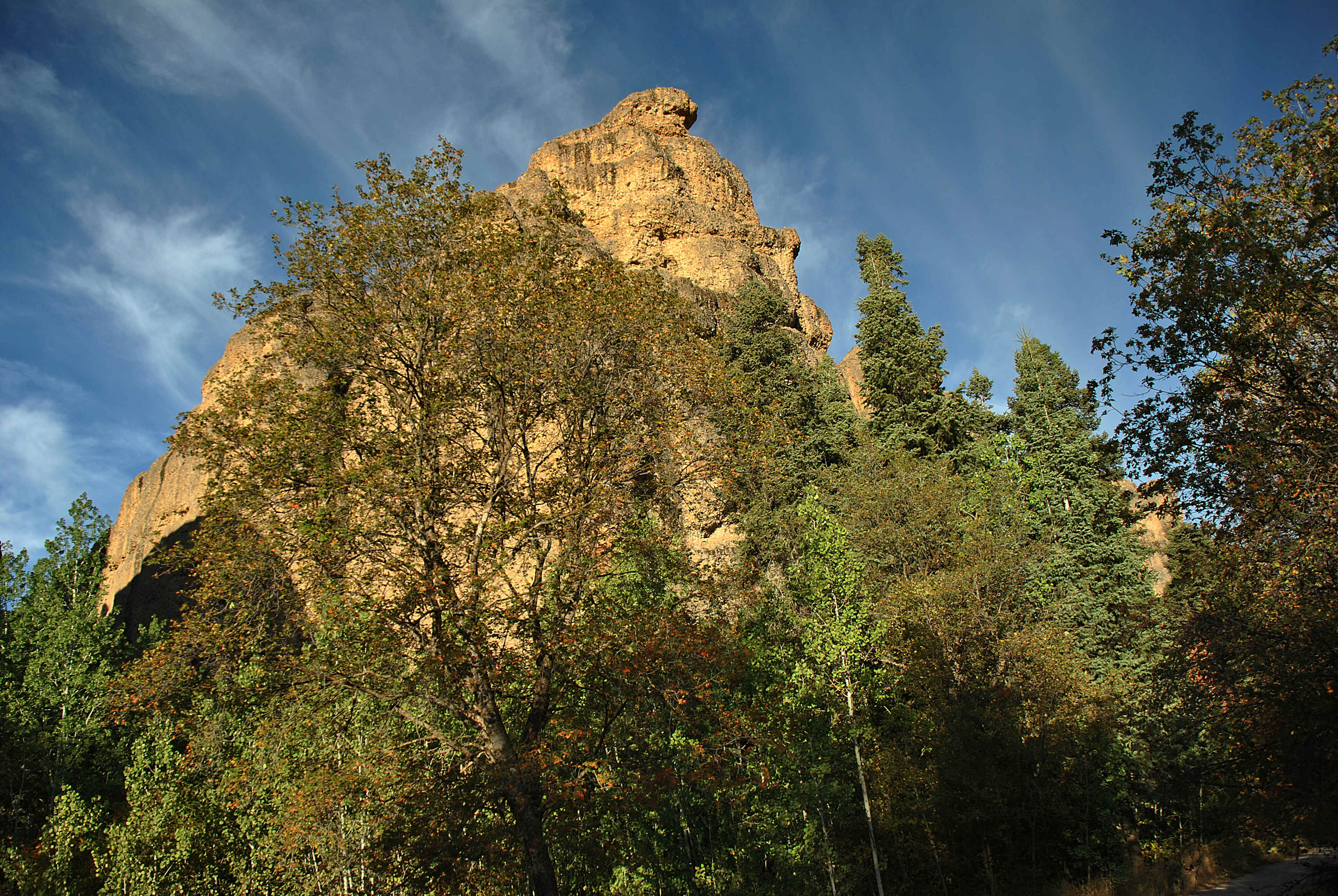 Maple Canyon is freaking gorgeous in the fall. This view is straight from the main road.