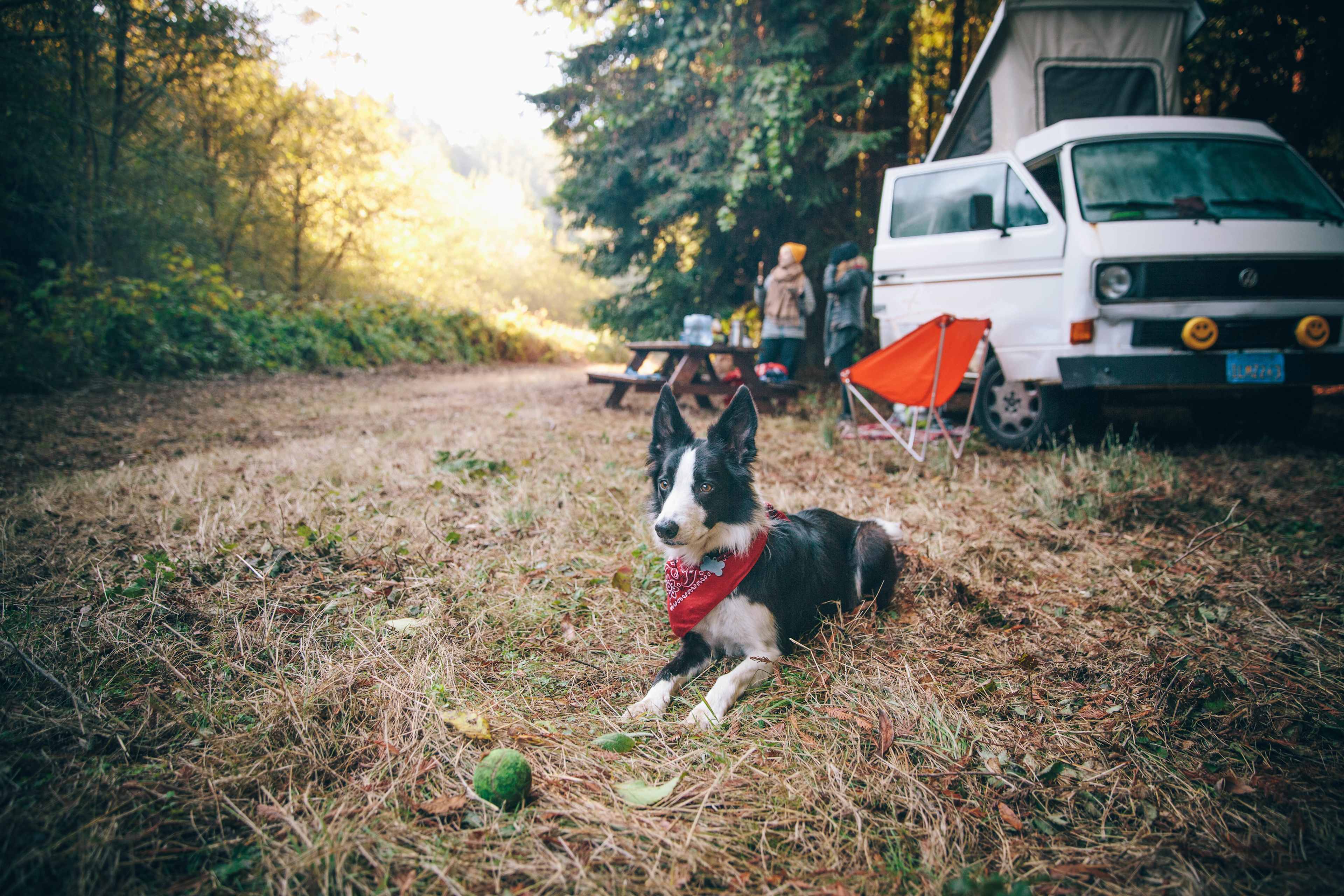 Salmon Creek Ranch