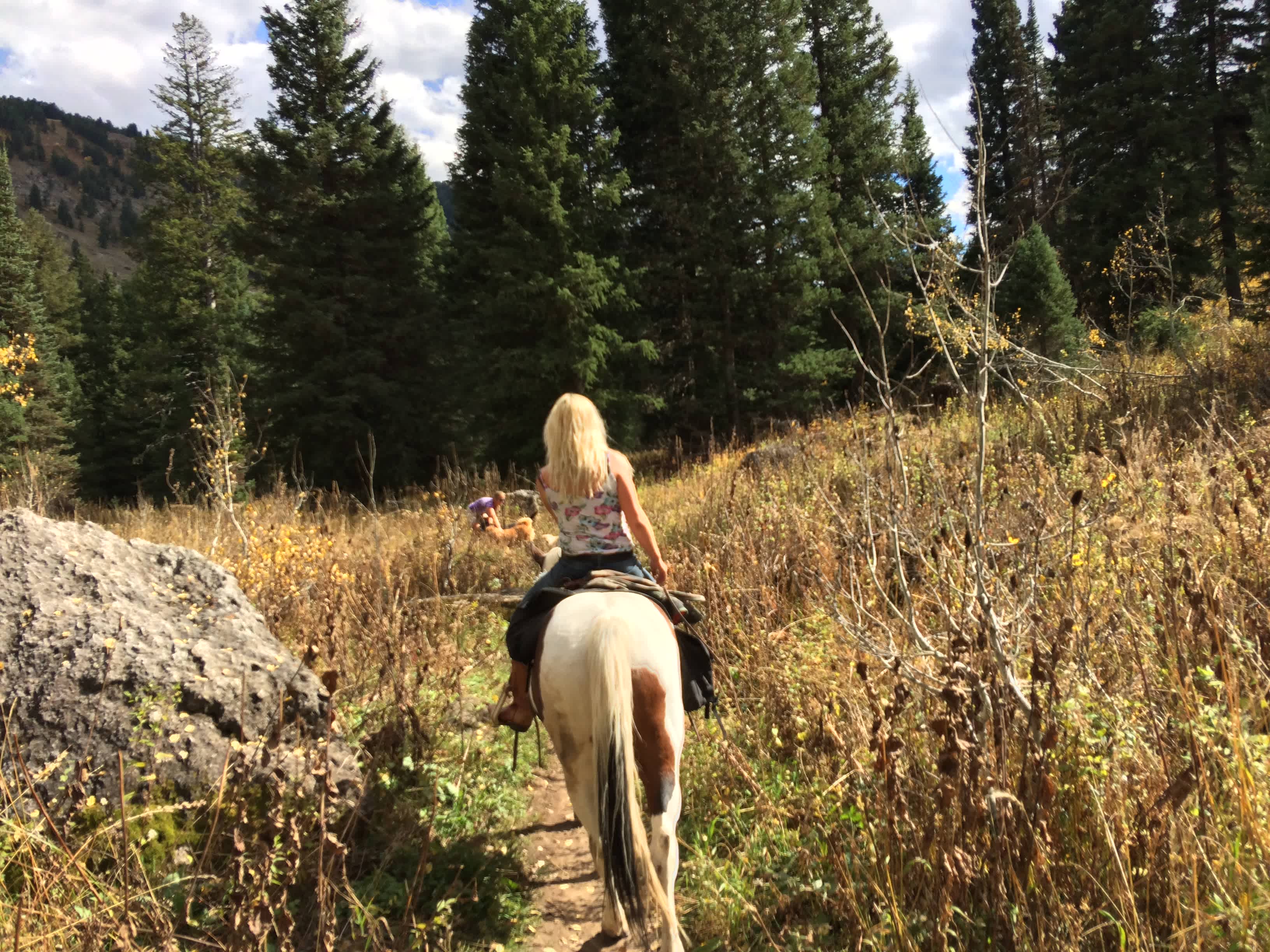 Teton Canyon Campground