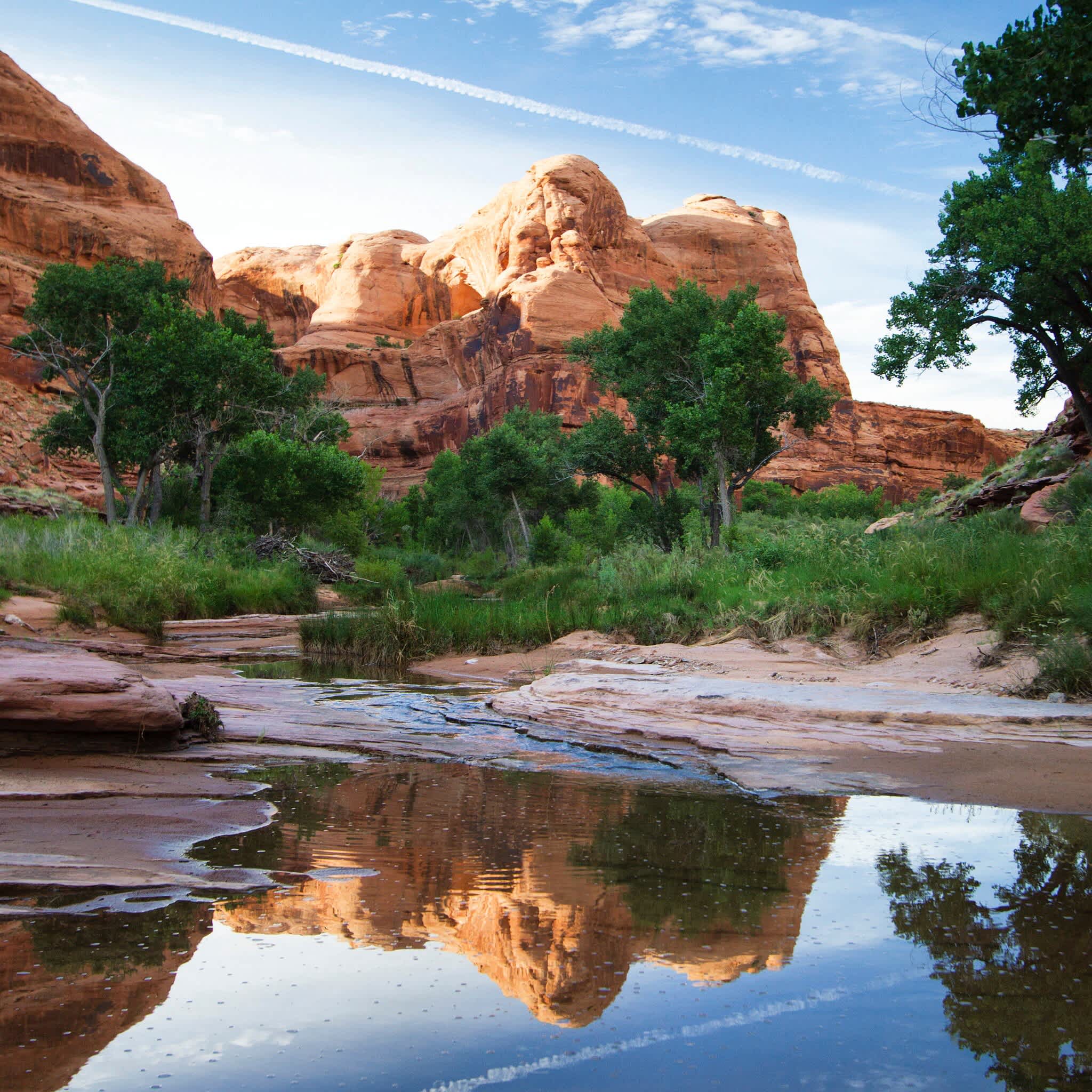 Goose Island Campground