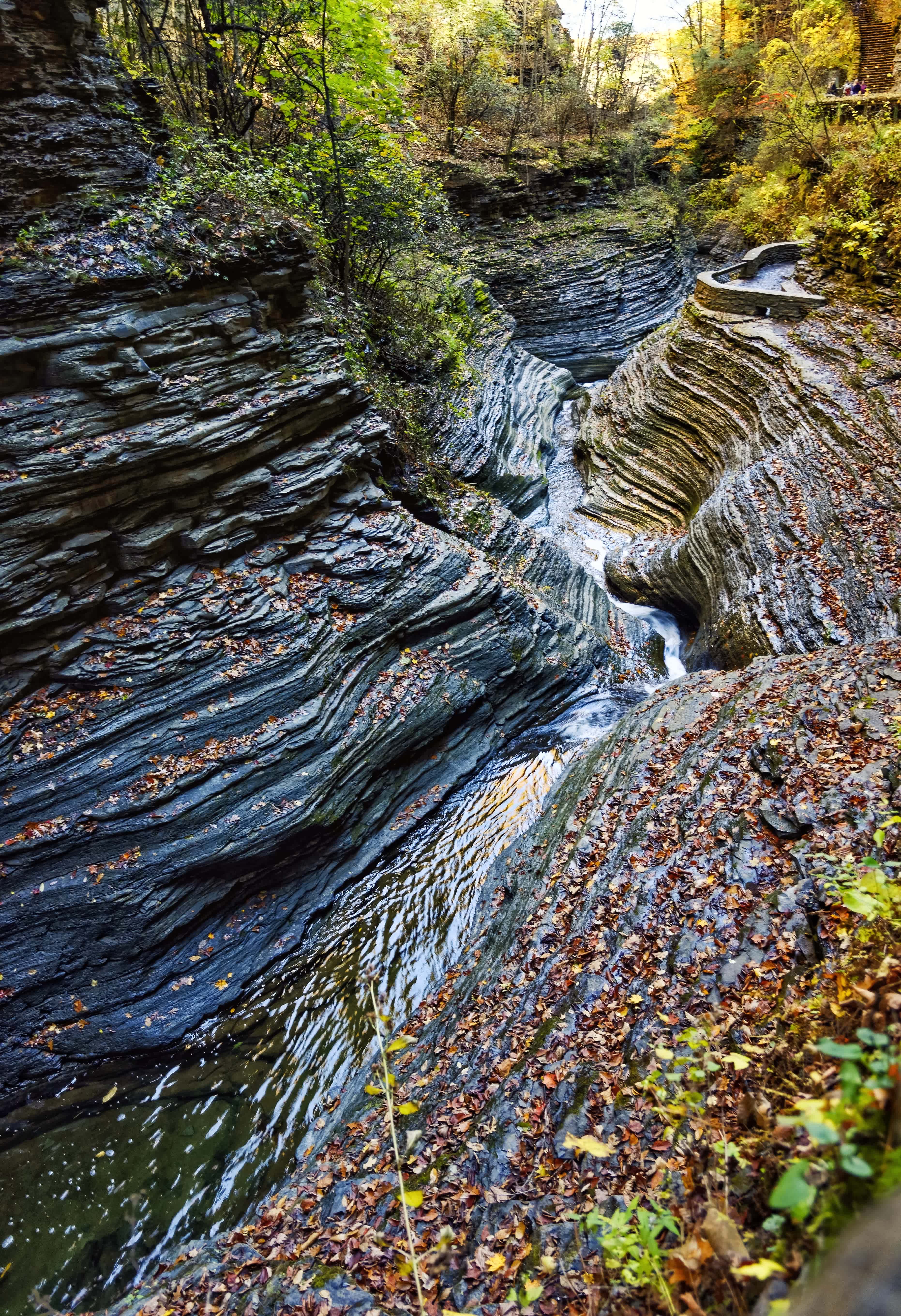 One of the best camp and park experiences in New York State!