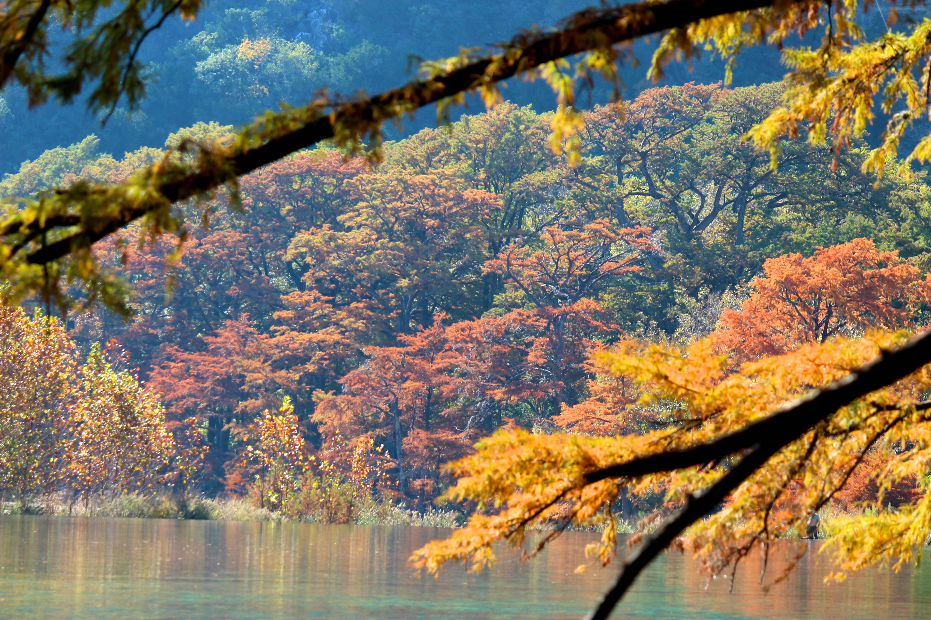 Pecan Grove Campground