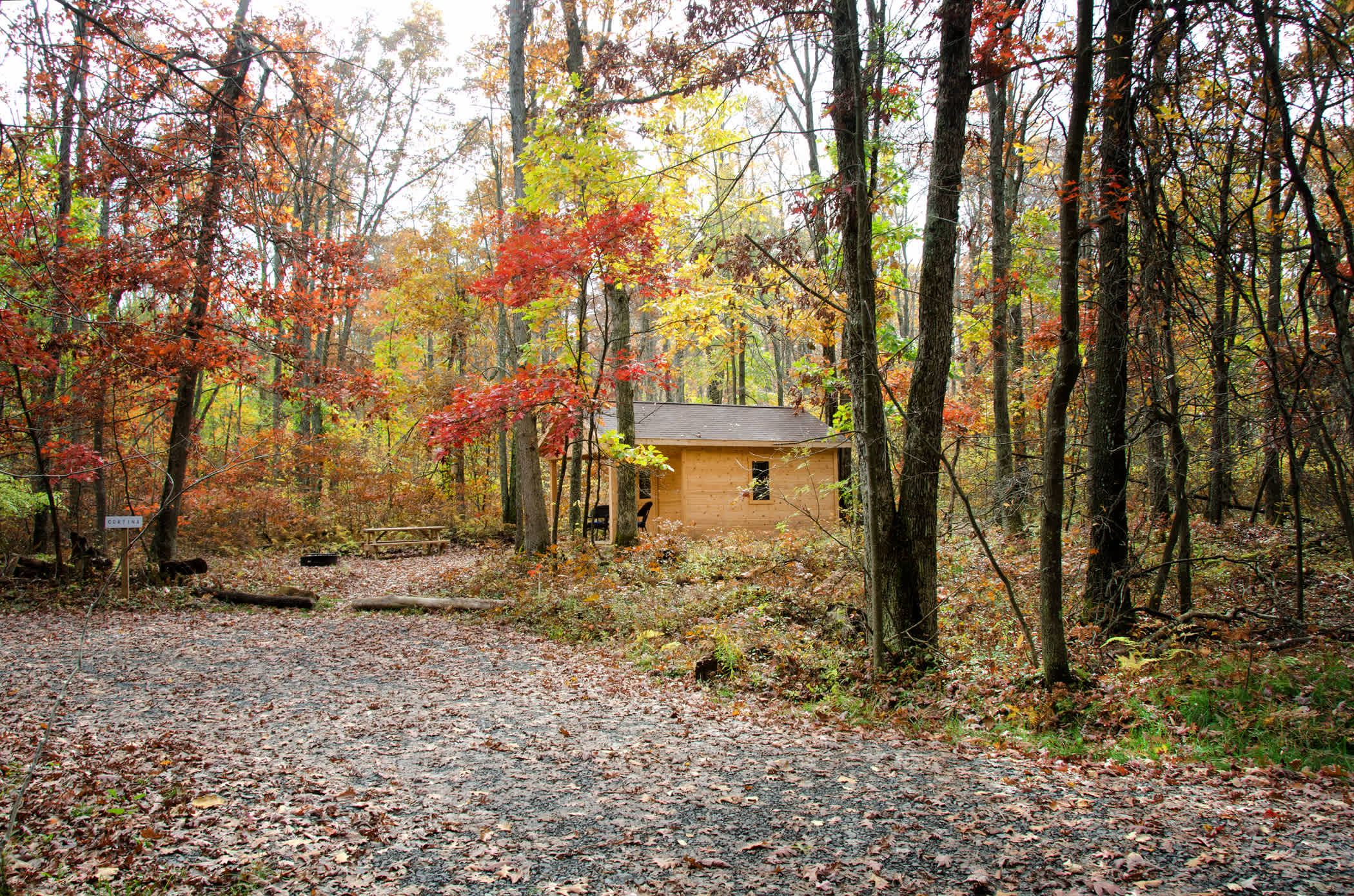 Cozy huts tucked into the woods, plenty of space between huts.