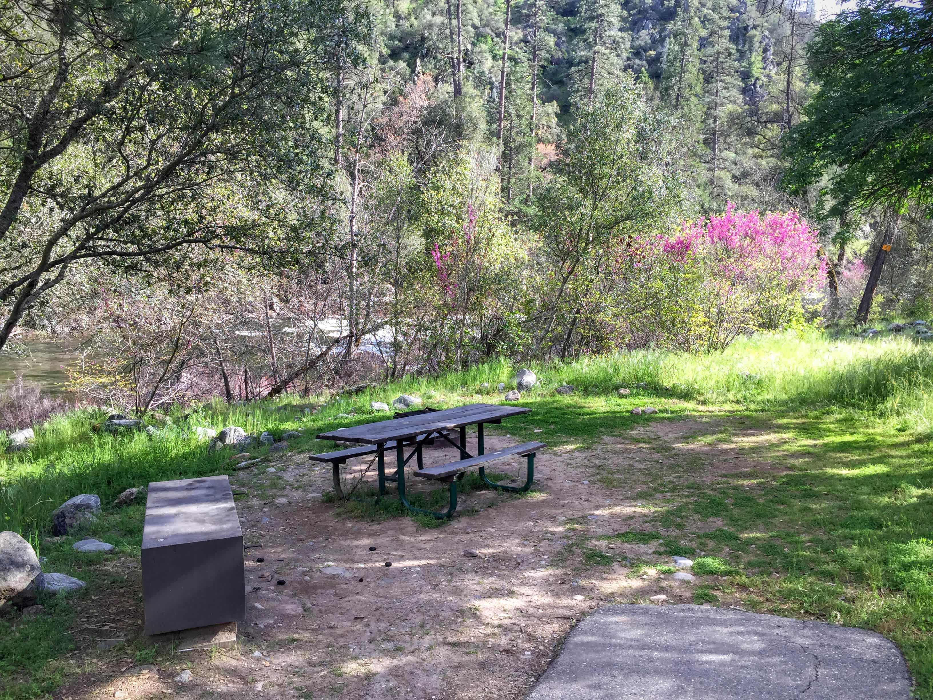 Big bear box and wooden picnic table. 