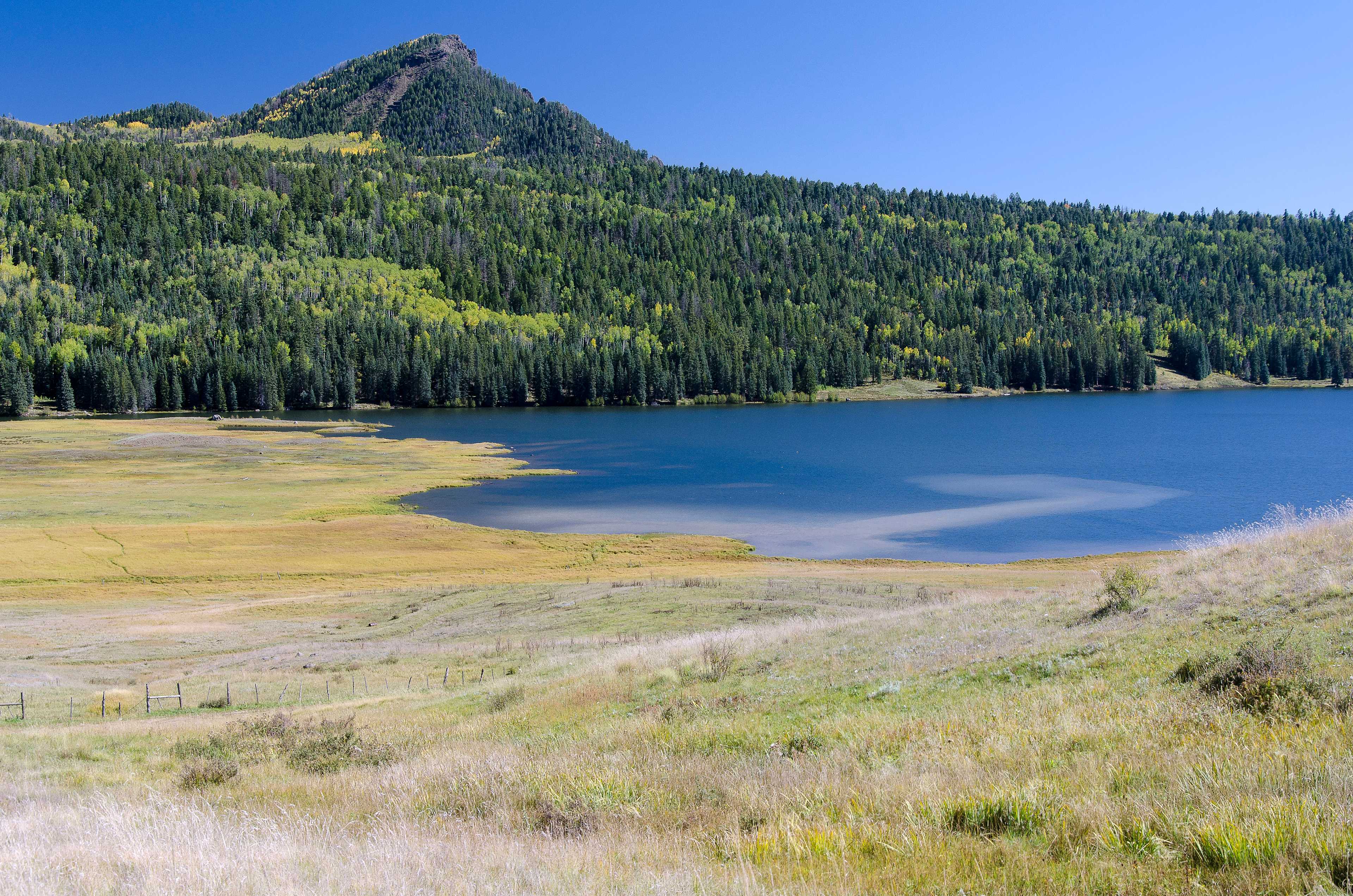 Near Teal Campground.