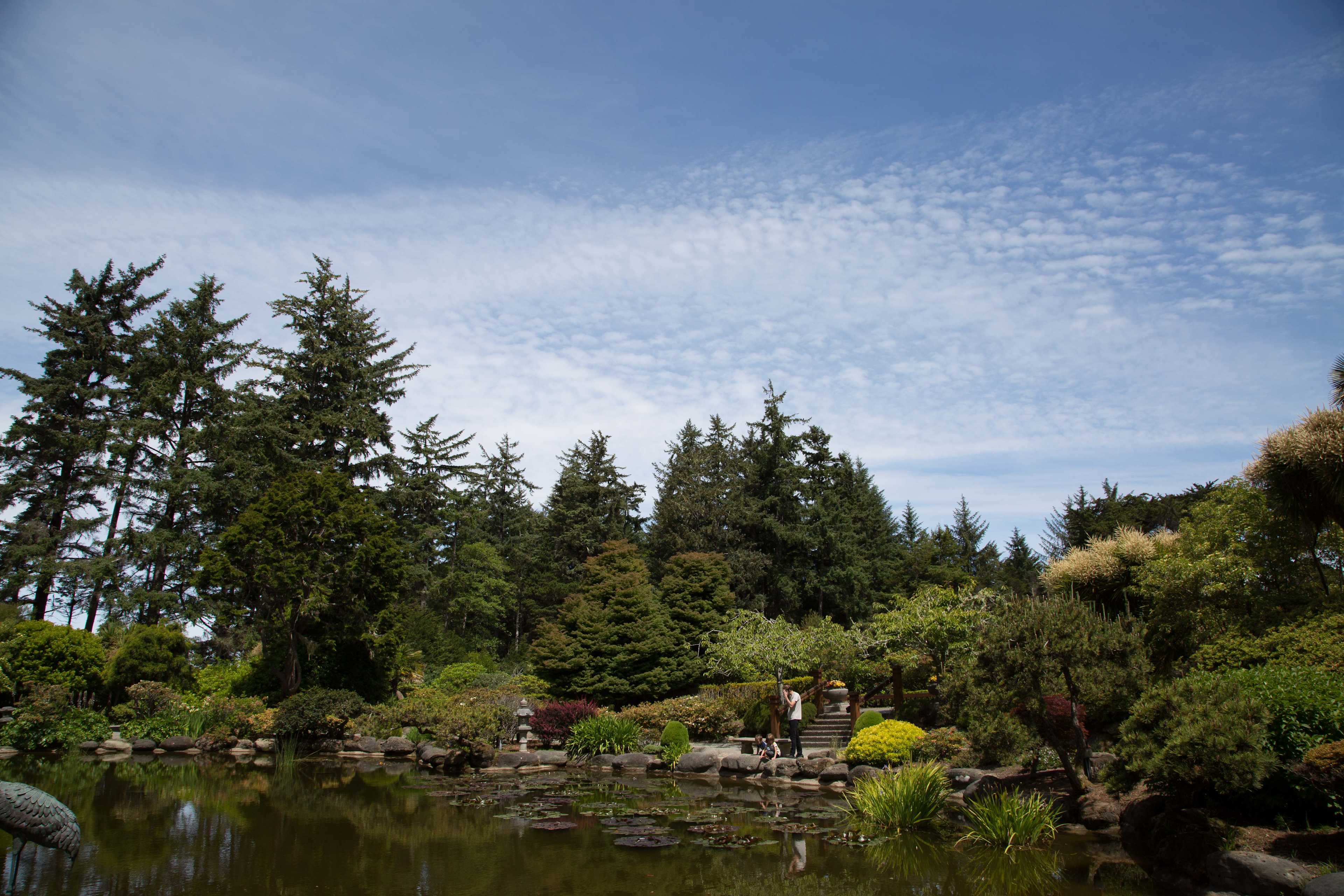 Flower garden, north of campground.