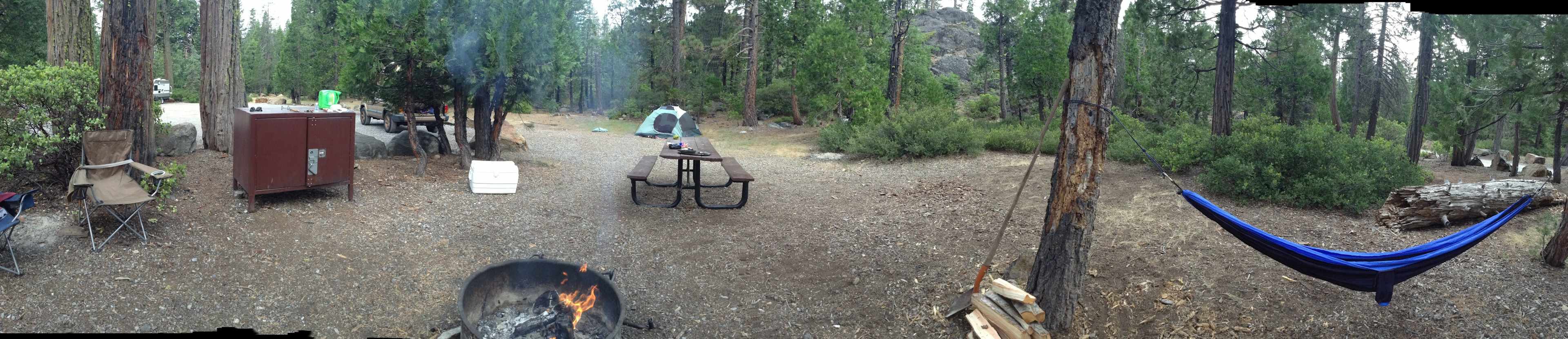 SITE