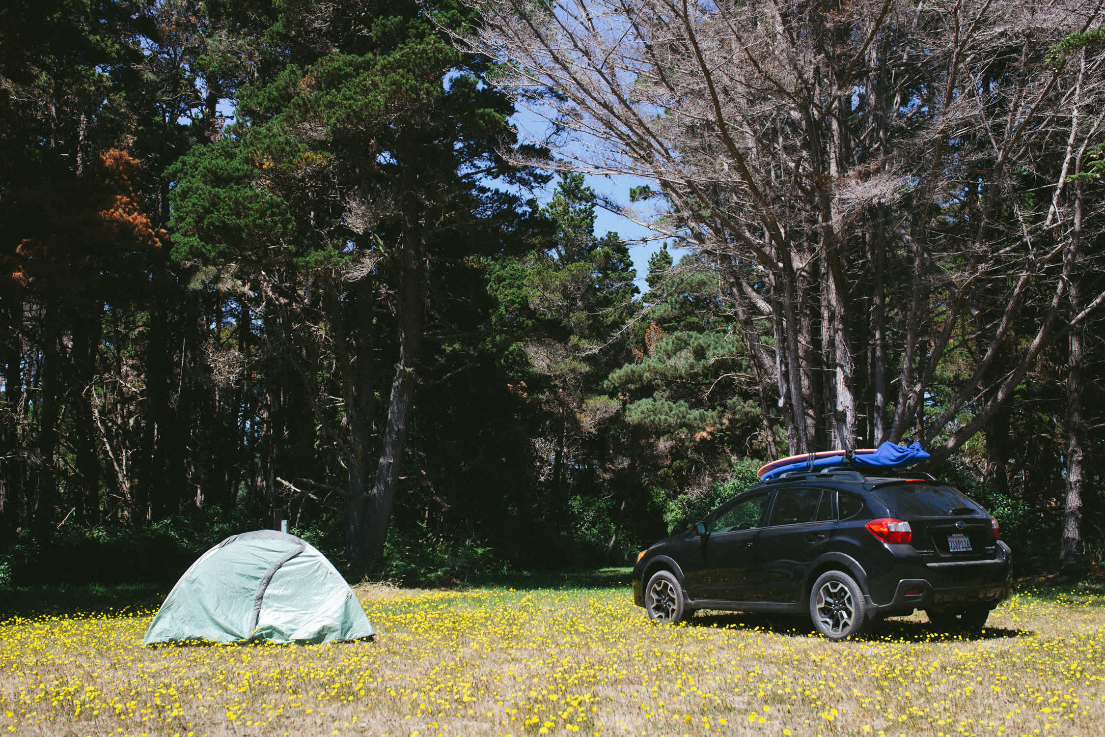 This campsite is perfect for group camping. This big open space allows at least 10 tents with the possibility to drive in. There is a giant fire pit with multiple water spigots and power outlets within this open field.