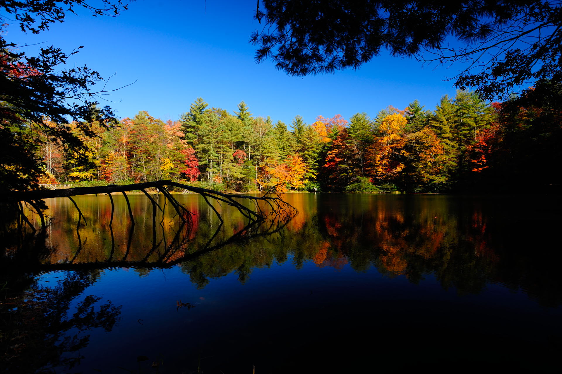 Dockery Lake Recreation Area