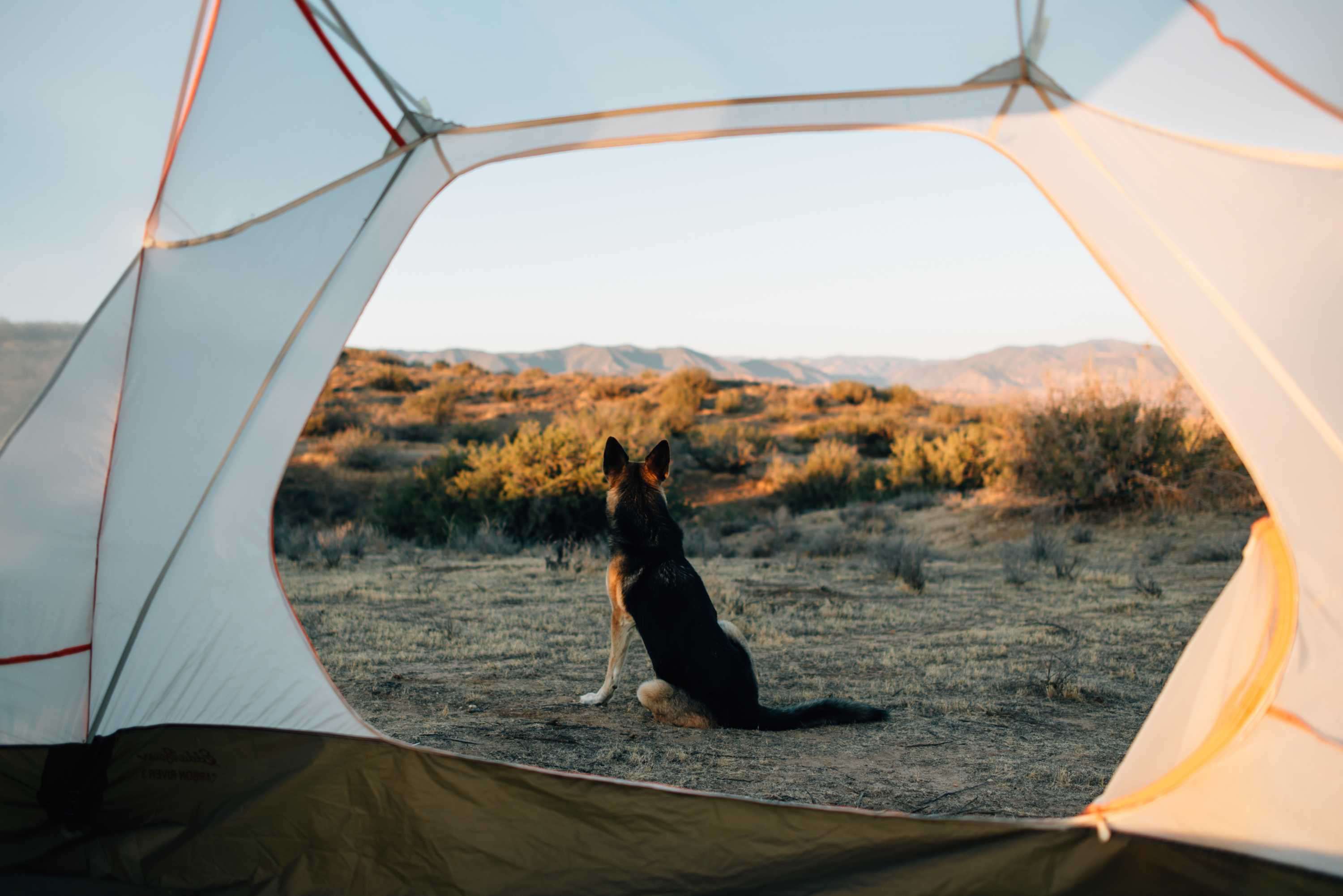 Cuyama Badlands