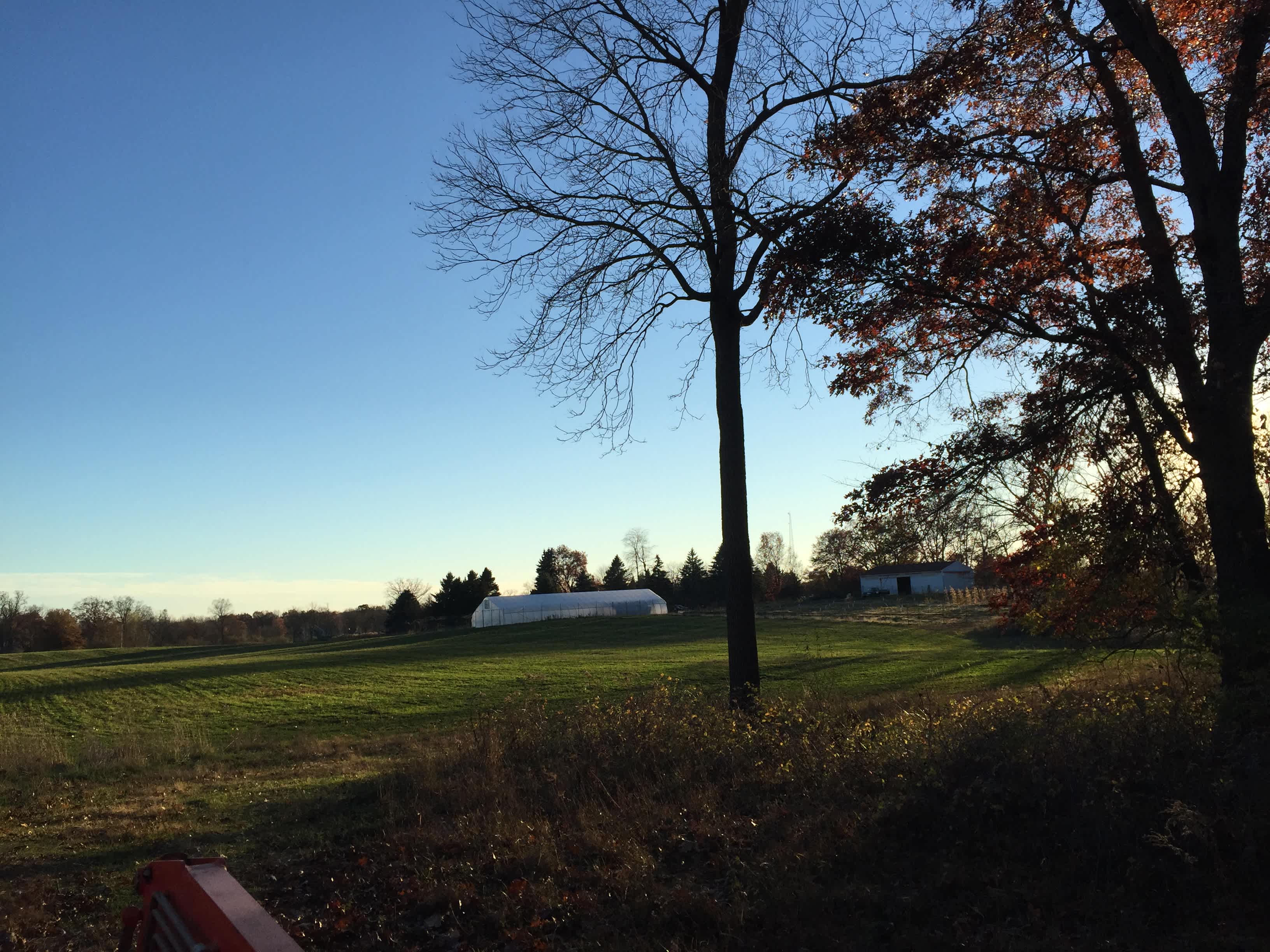 Nature and Nurture Farm