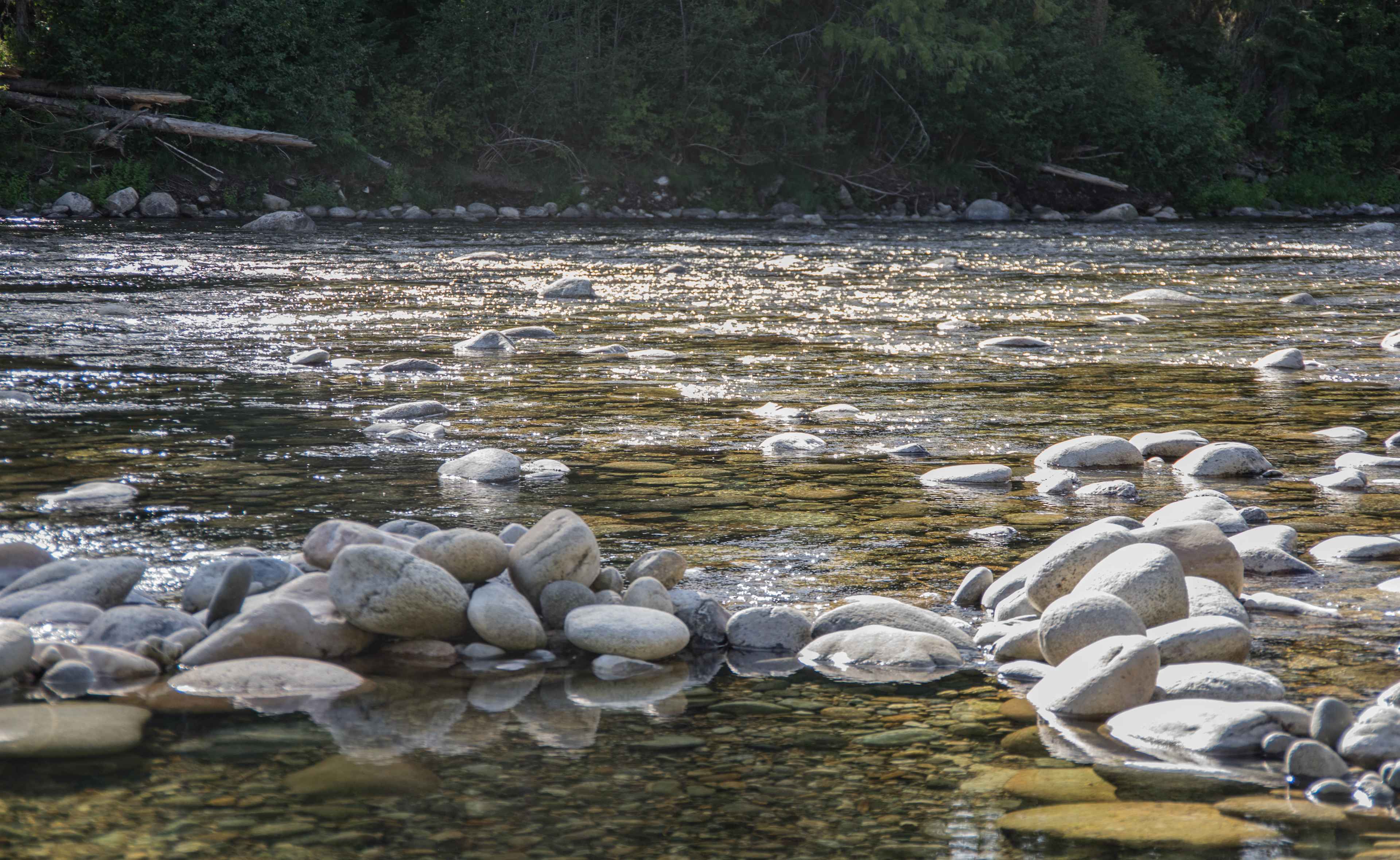 Lochsa River low in late summer
