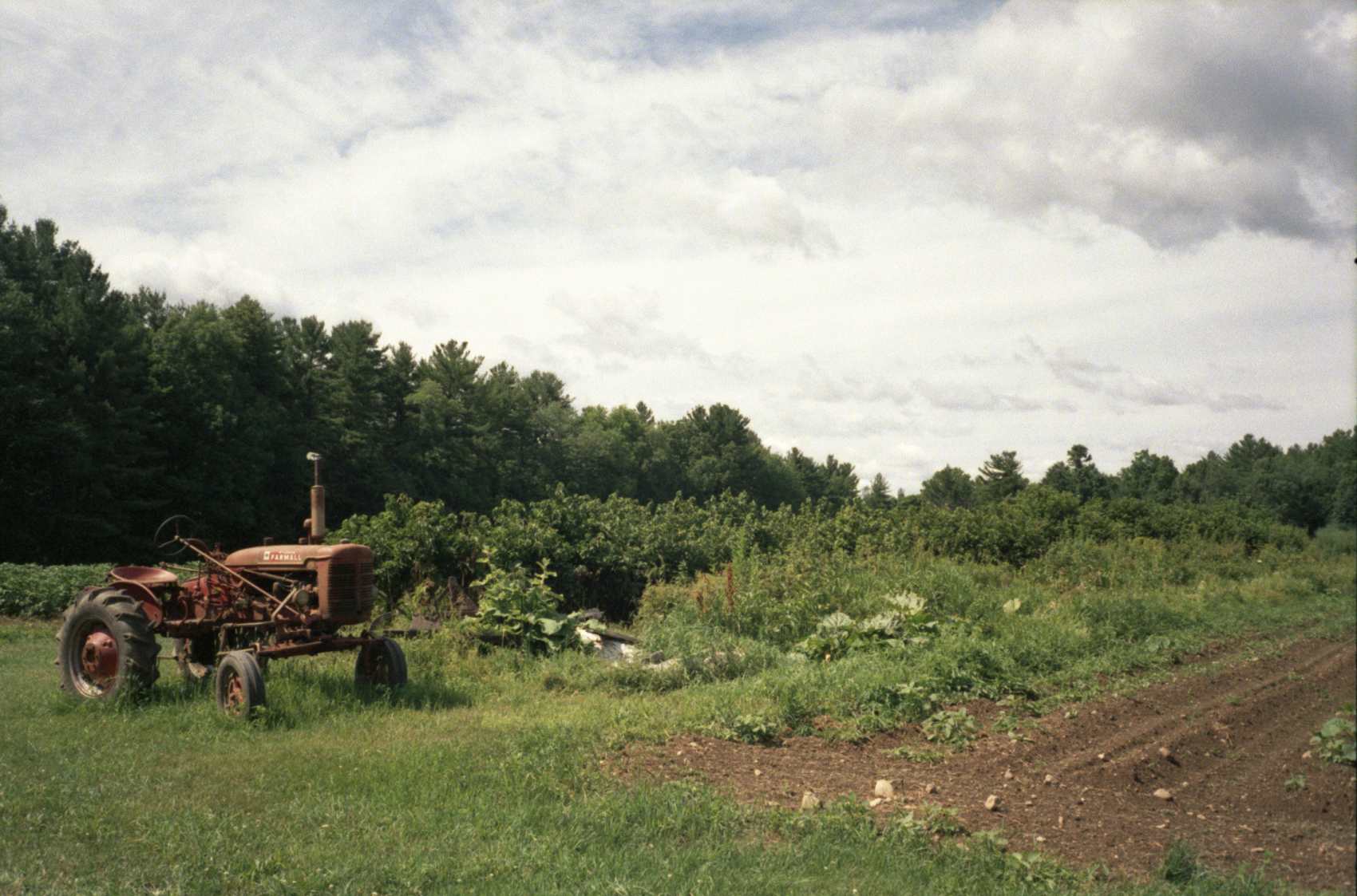Moon In The Pond Farm